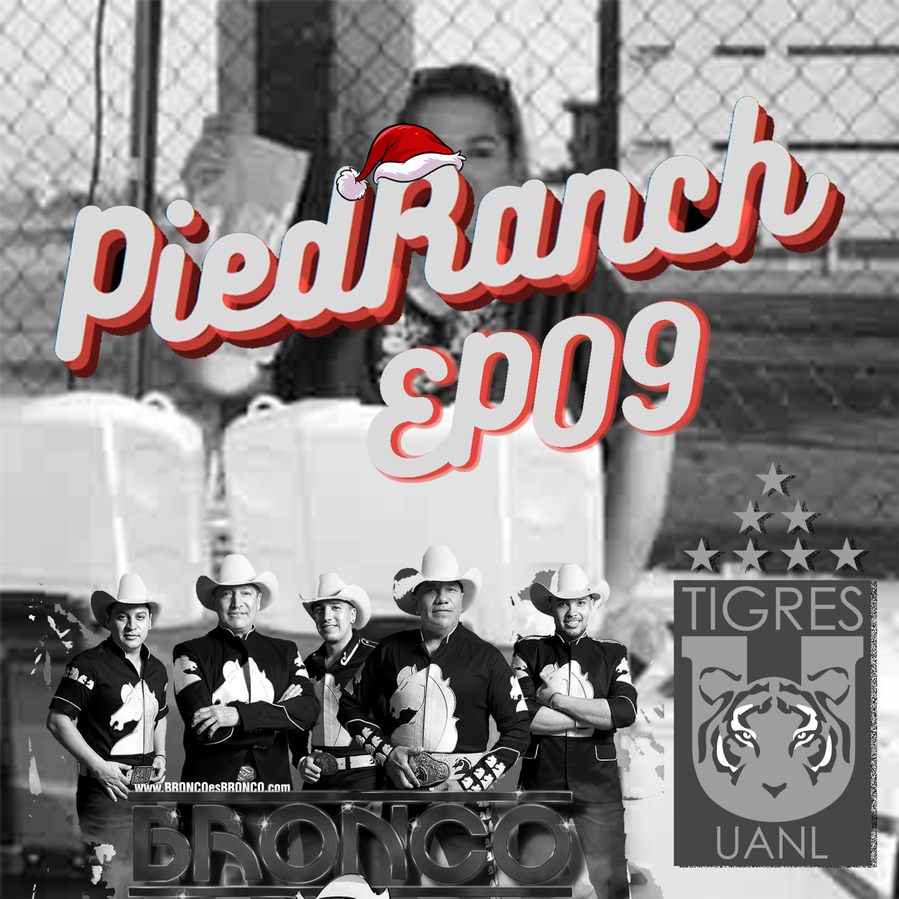 PiedRanch