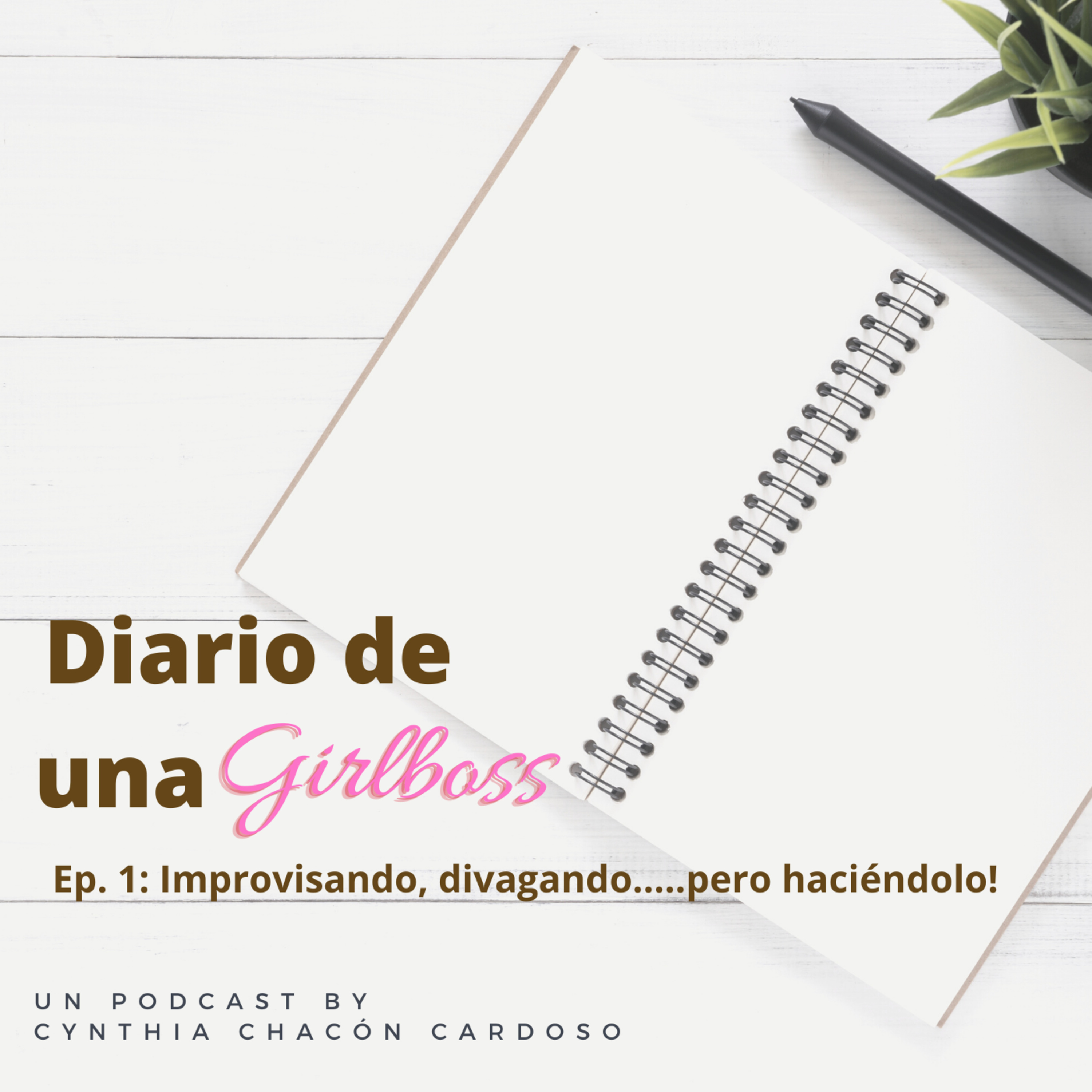 Diario de una GirlBoss