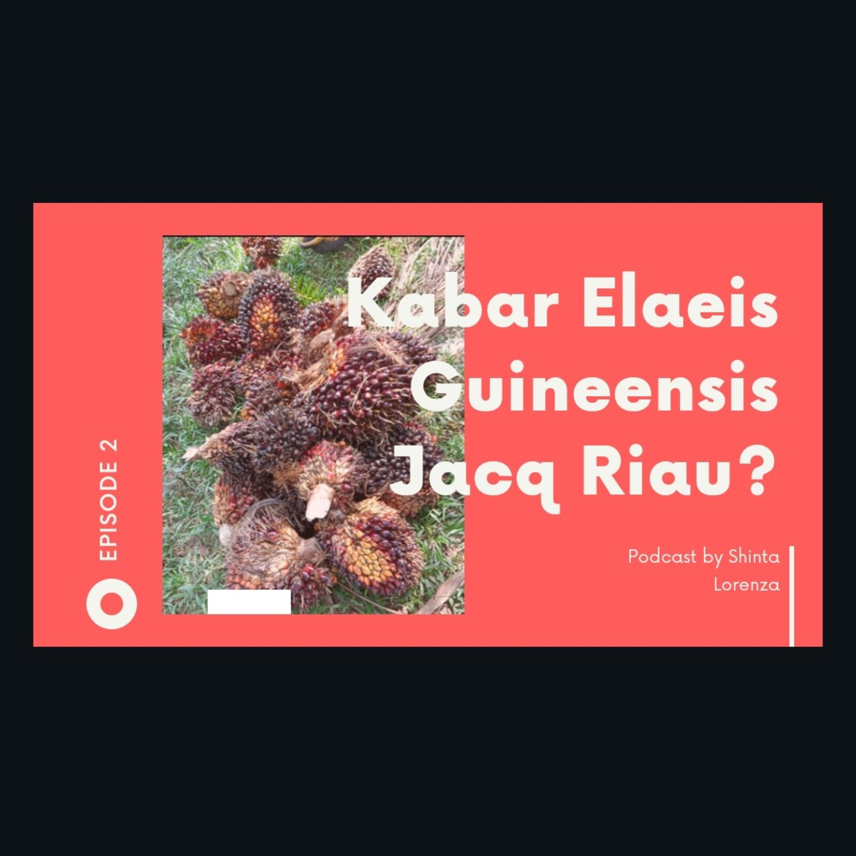 Kurma Riau, Sumber Cuan Atau Sumber Kerusakan?