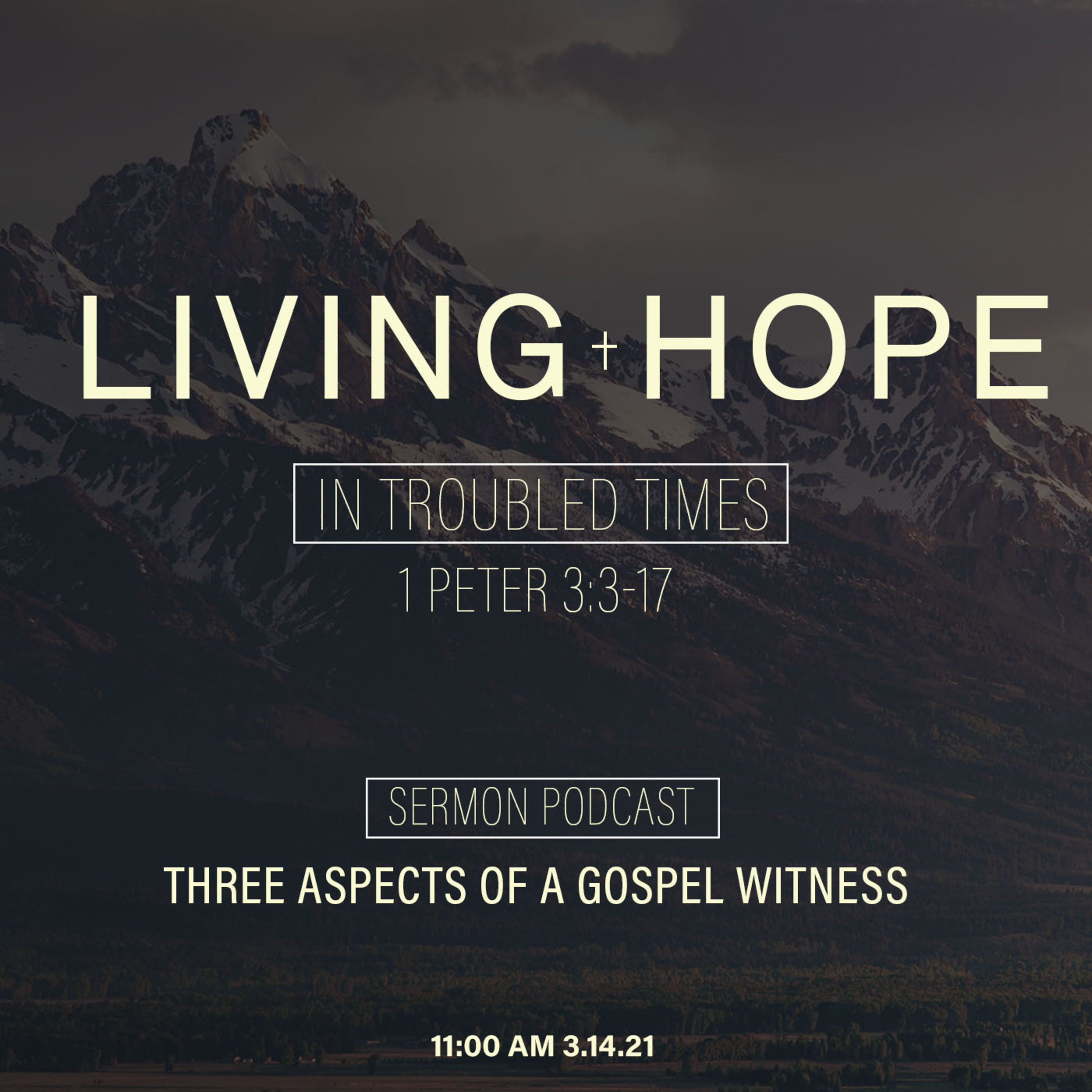 Wilkesboro Baptist Church Podcasts