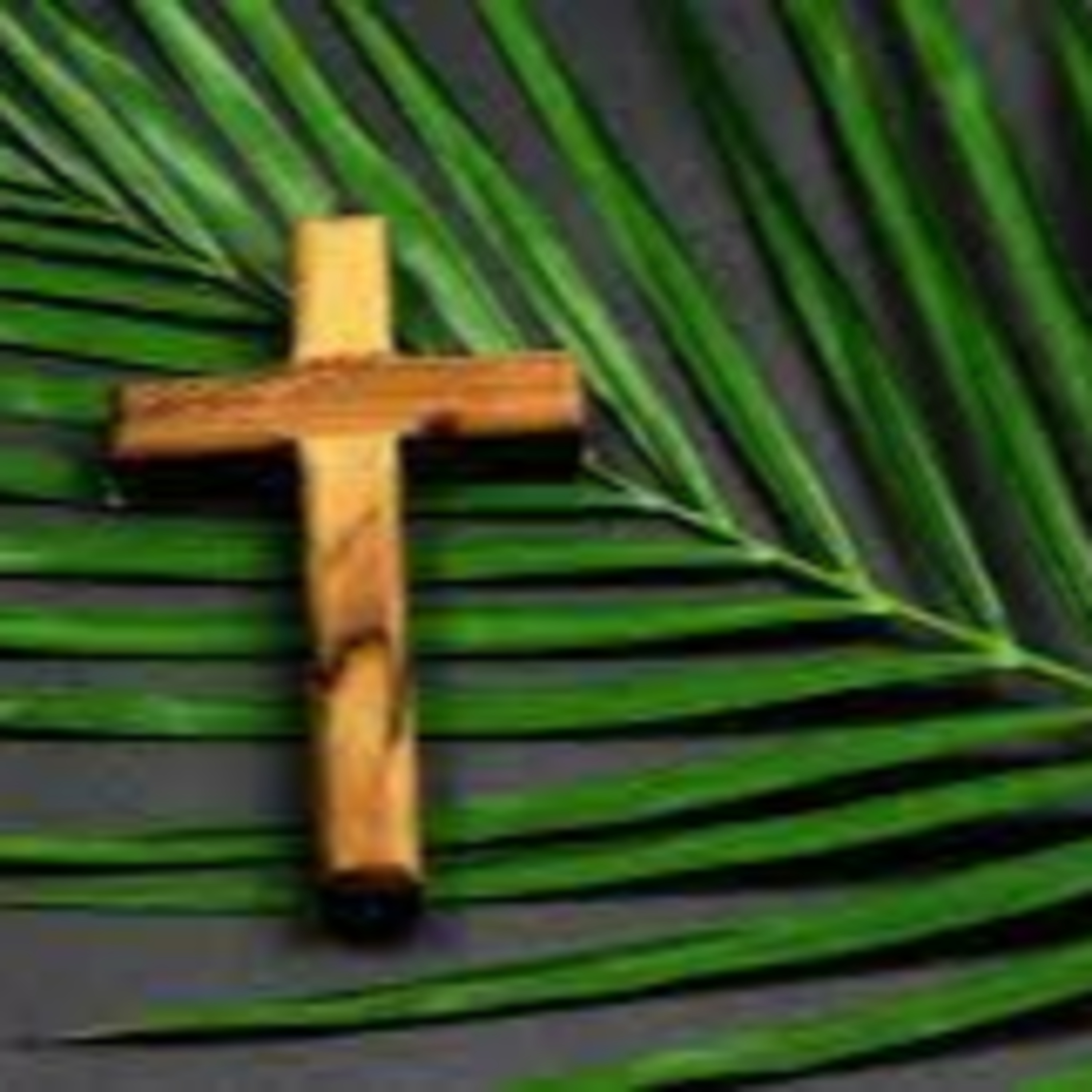 Palm Sunday - Pastor Tim Rice episode artwork
