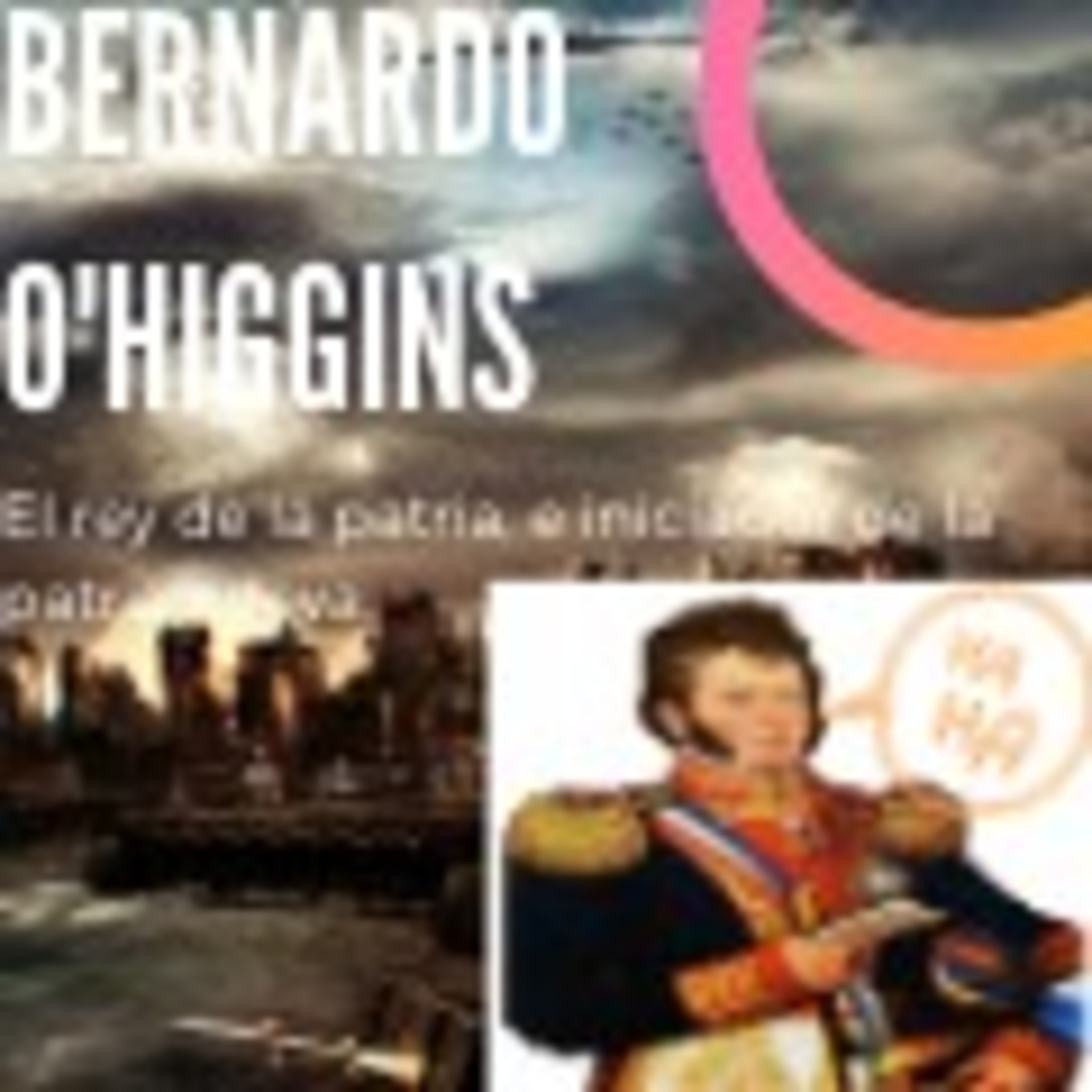 Bernardo O`Higgins Riquelme      ( el padre de la patria chilena )