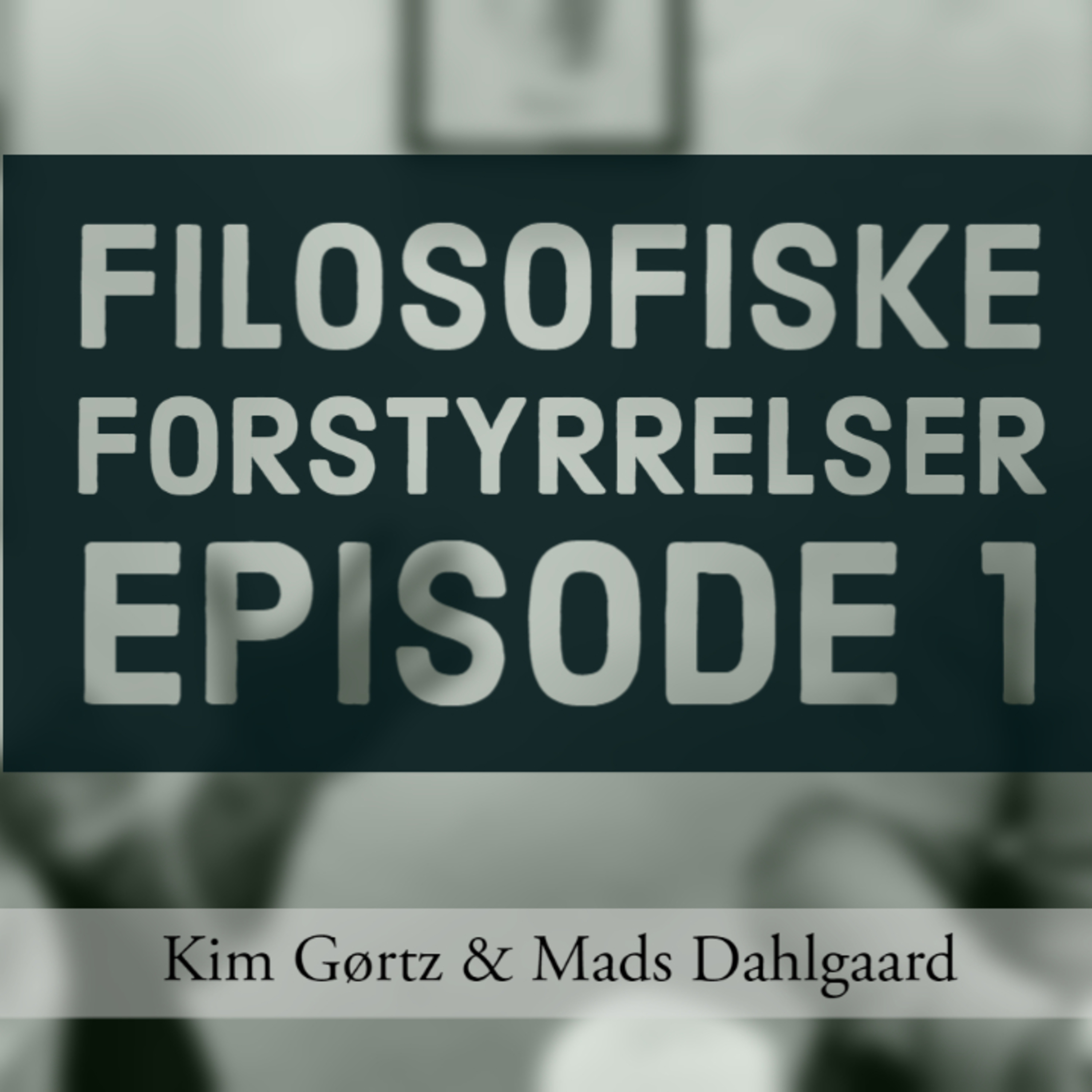 Filosofiske Forstyrrelser