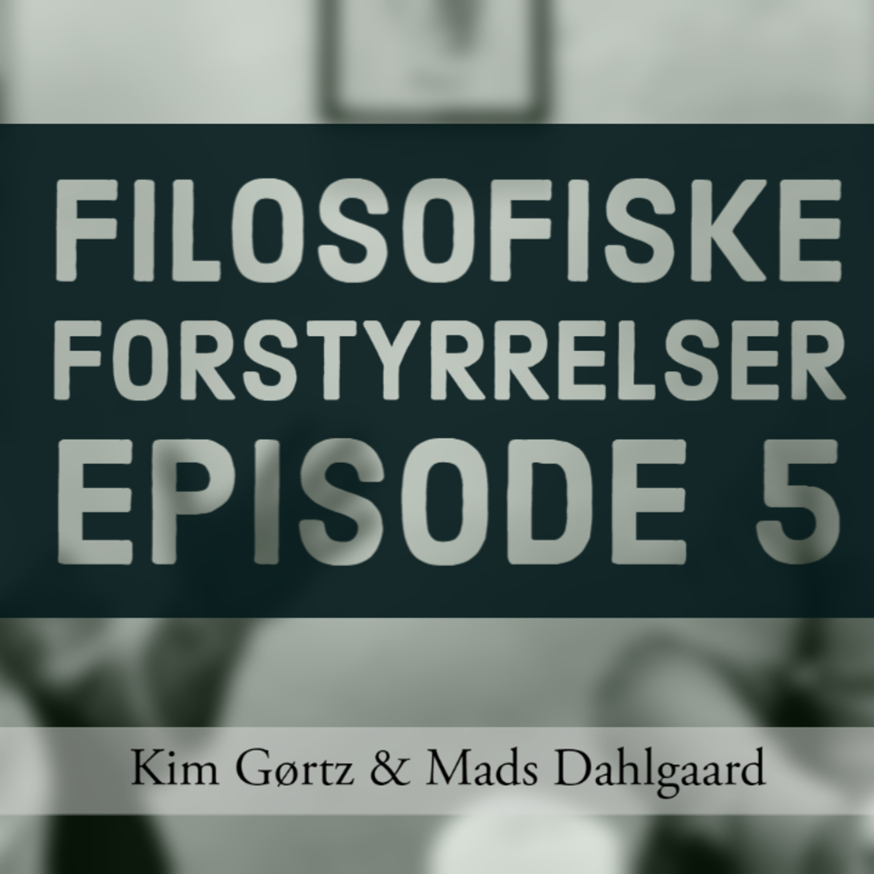 Filosofiske Forstyrrelser