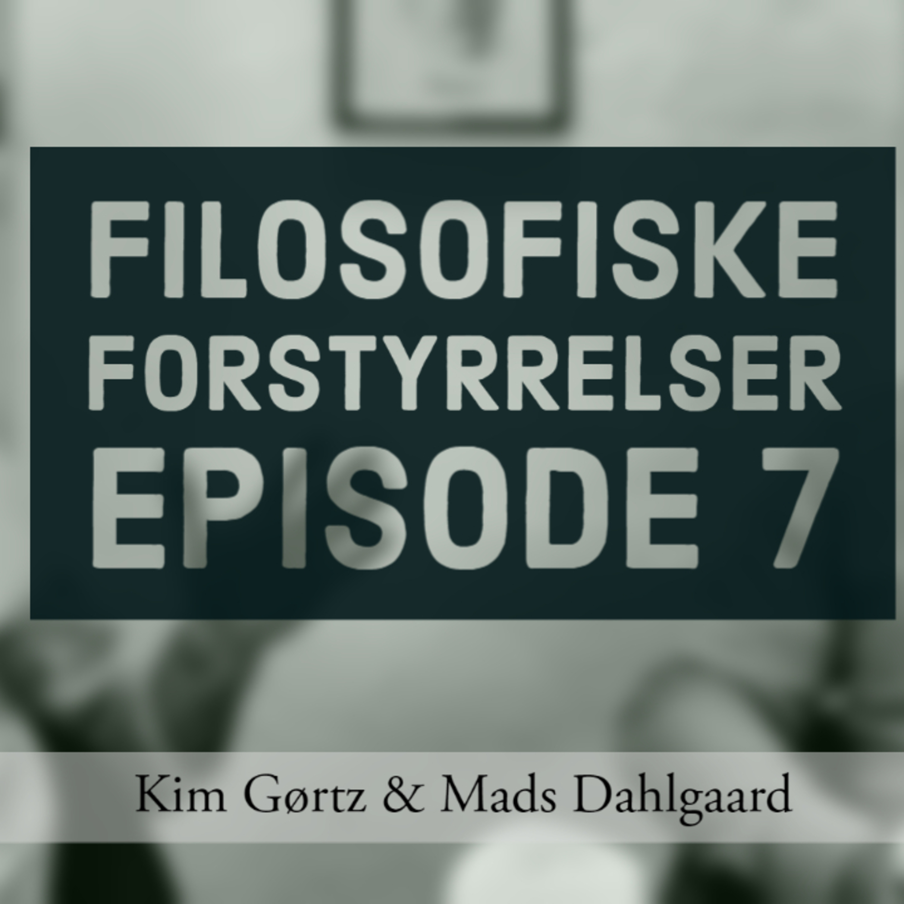 Filosofiske Forstyrrelser