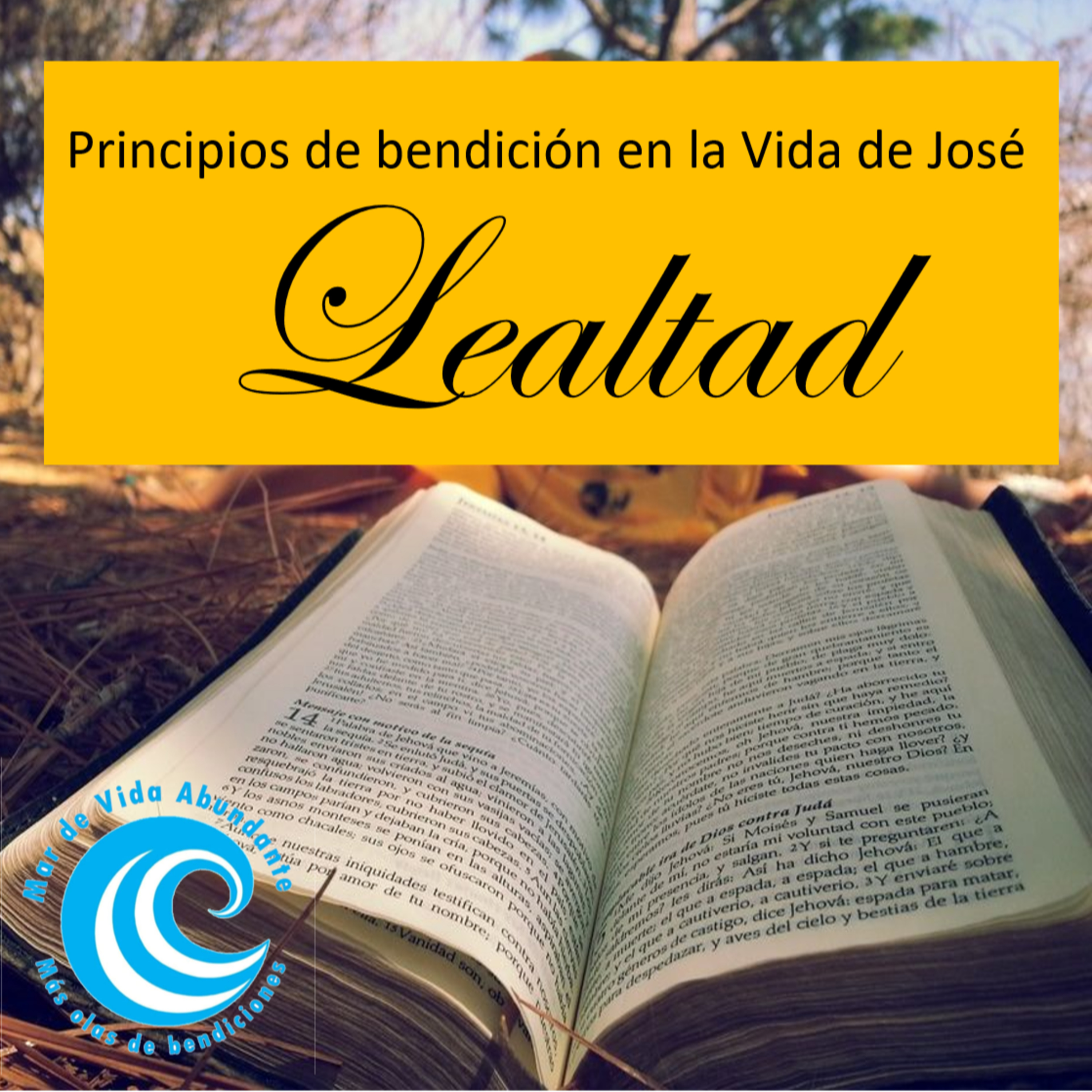 Olas De Bendiciones
