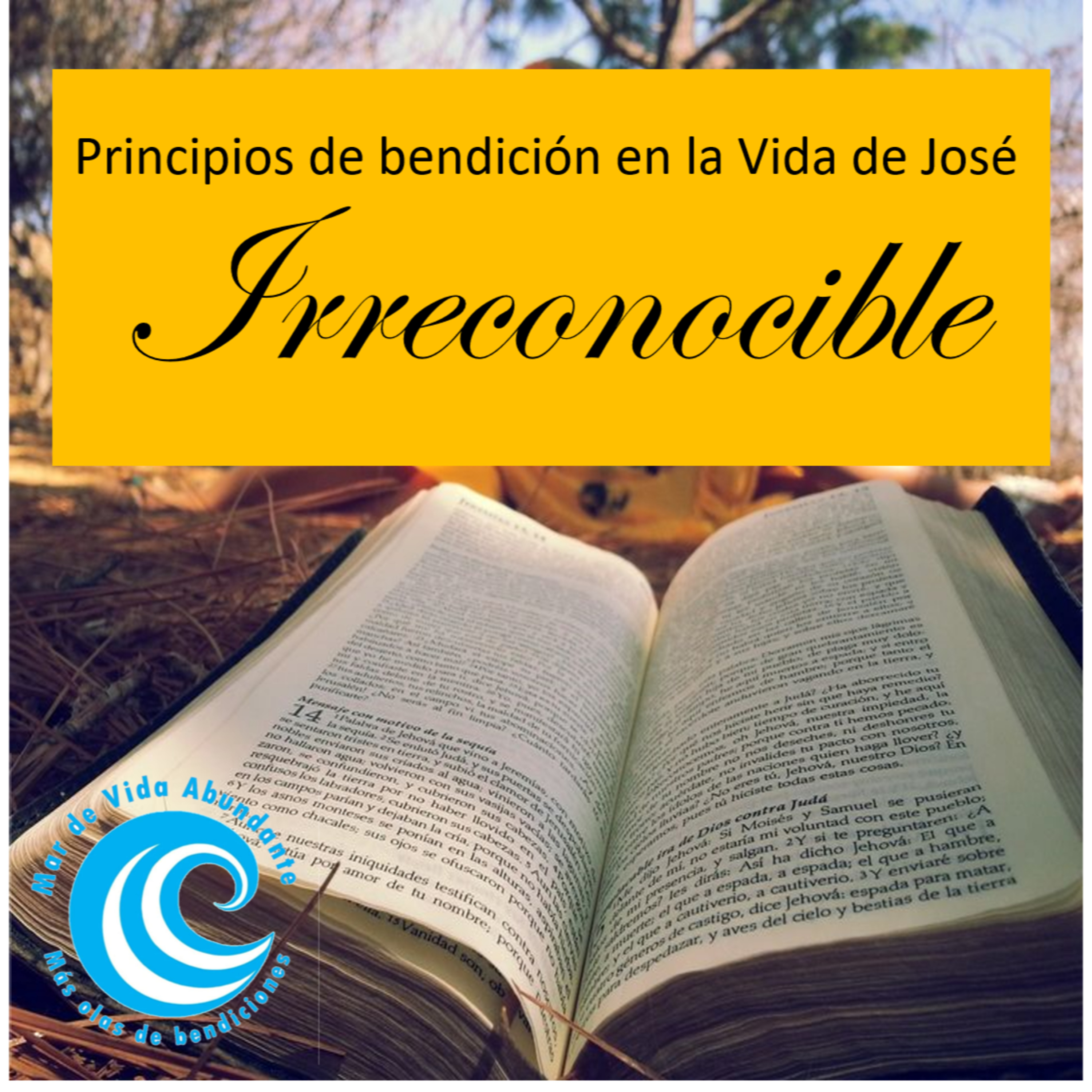 Olas De Bendiciones