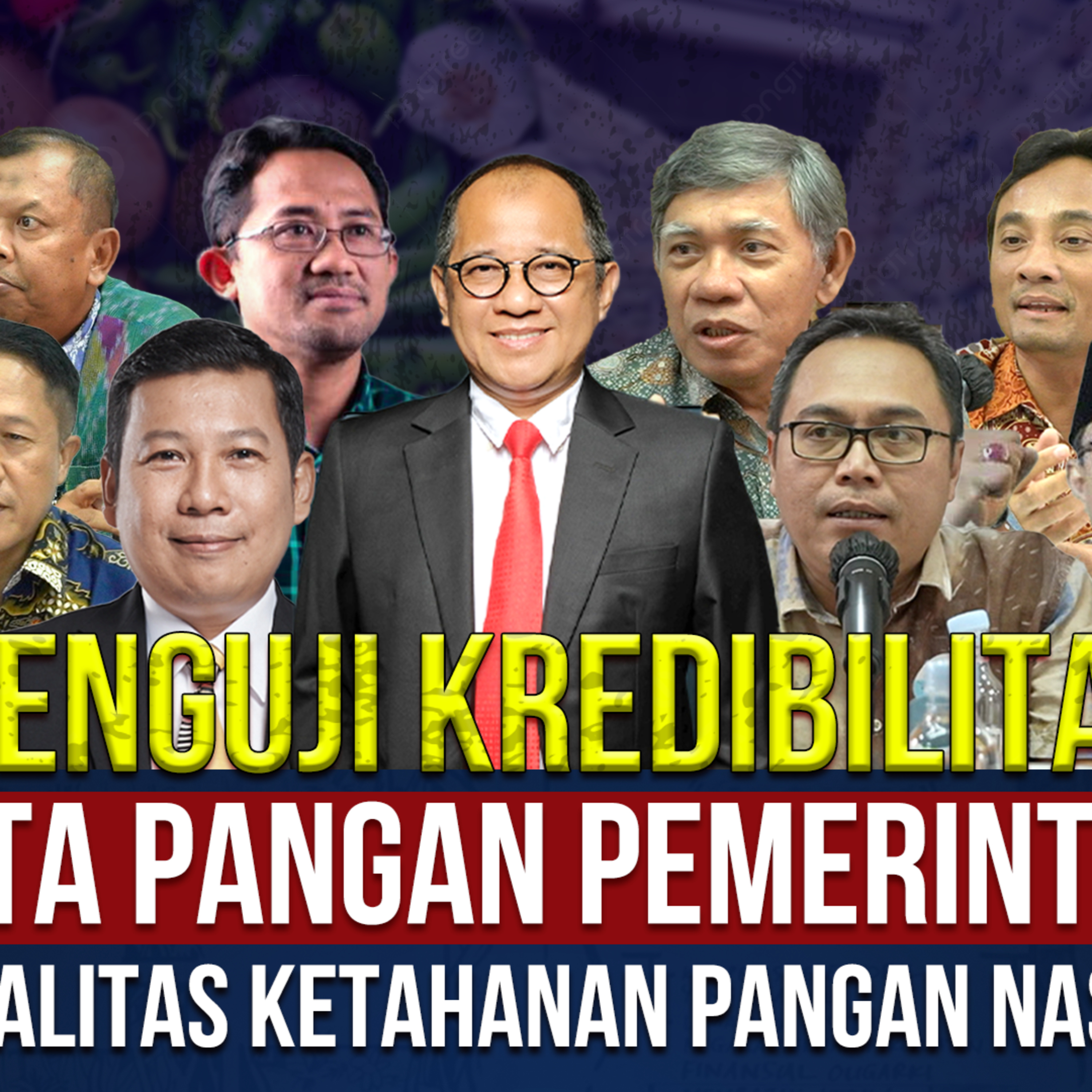 MENGUJI KREDIBILITAS DATA PANGAN PEMERINTAH DAN REALITAS KETAHANAN PANGAN NASIONAL