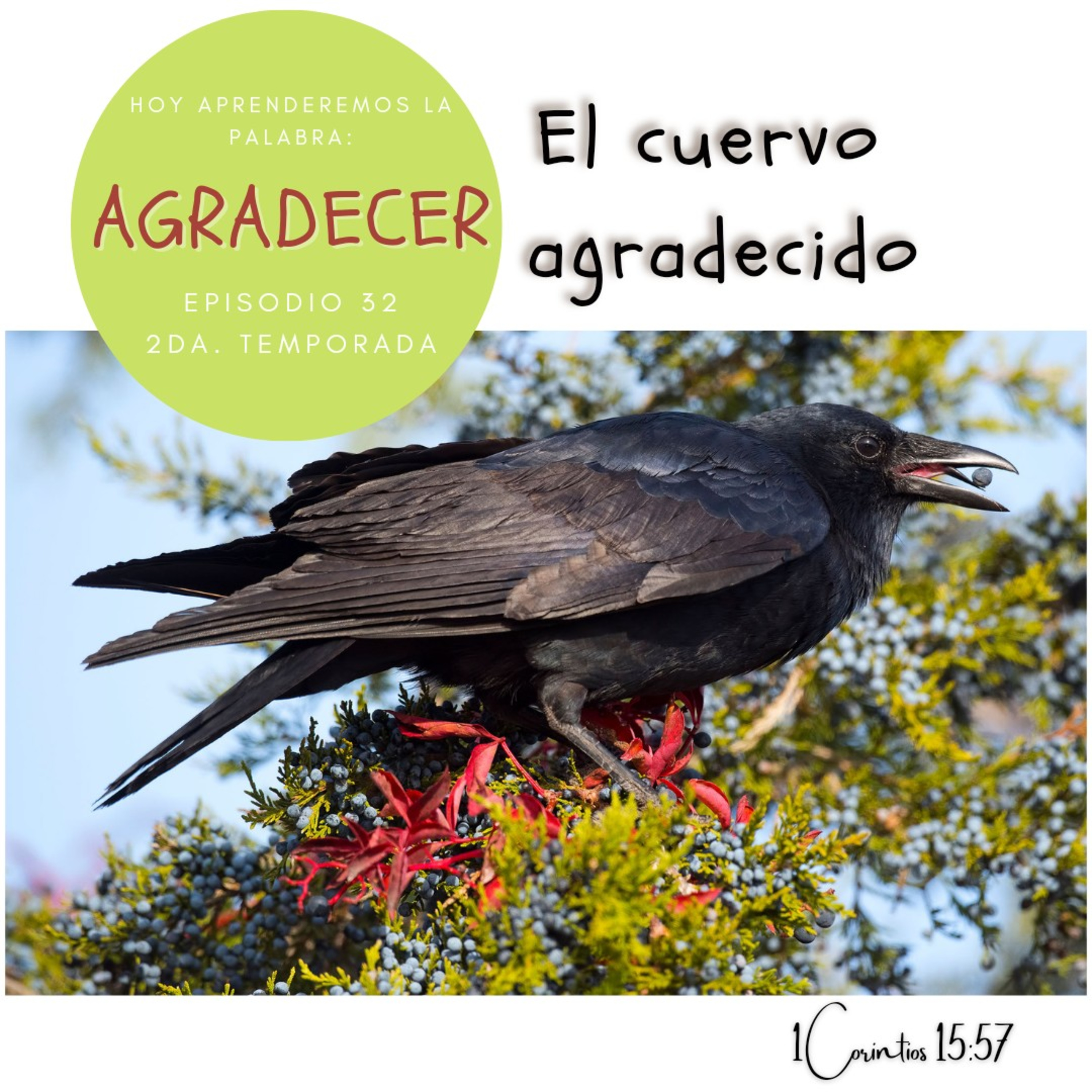 Cada Día Con Jesús