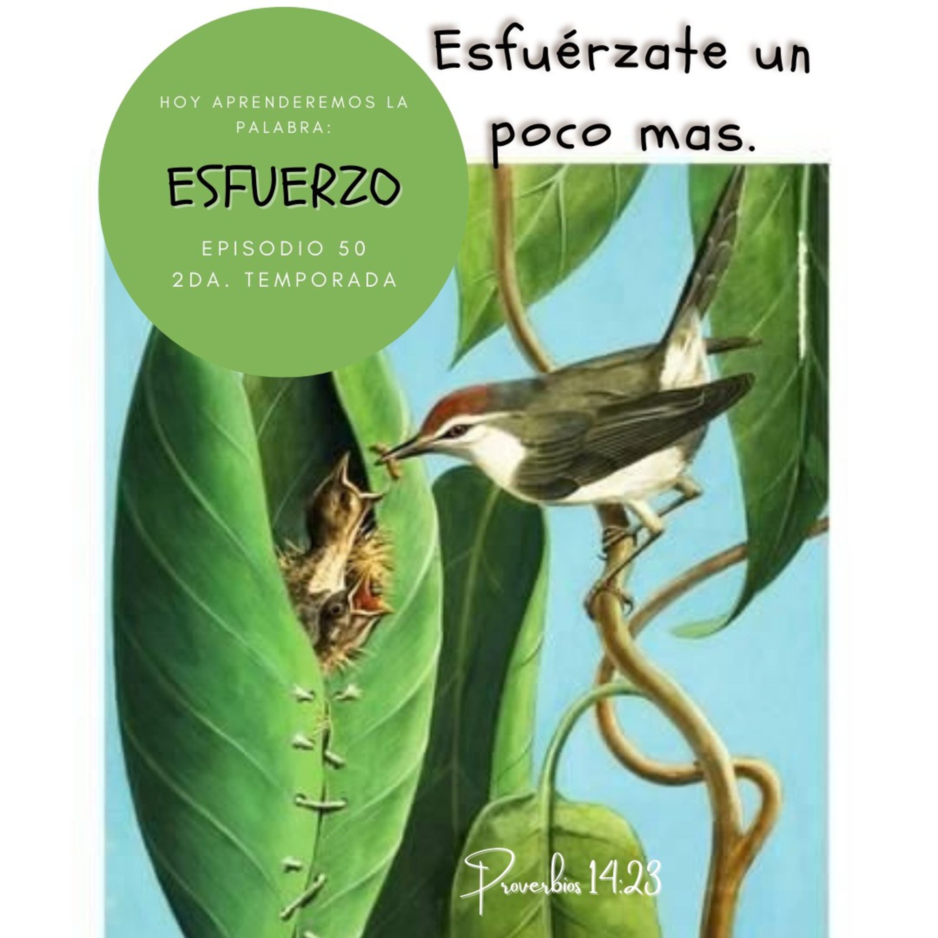 Cada Día Con Jesús