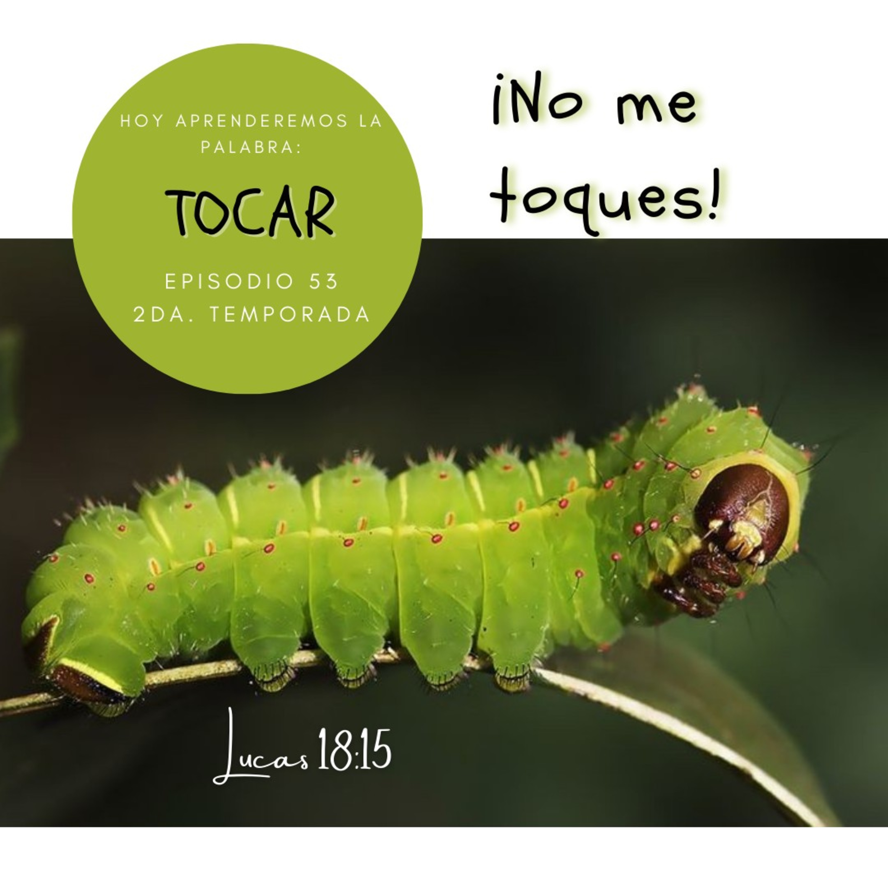 Cada Día Con Jesús