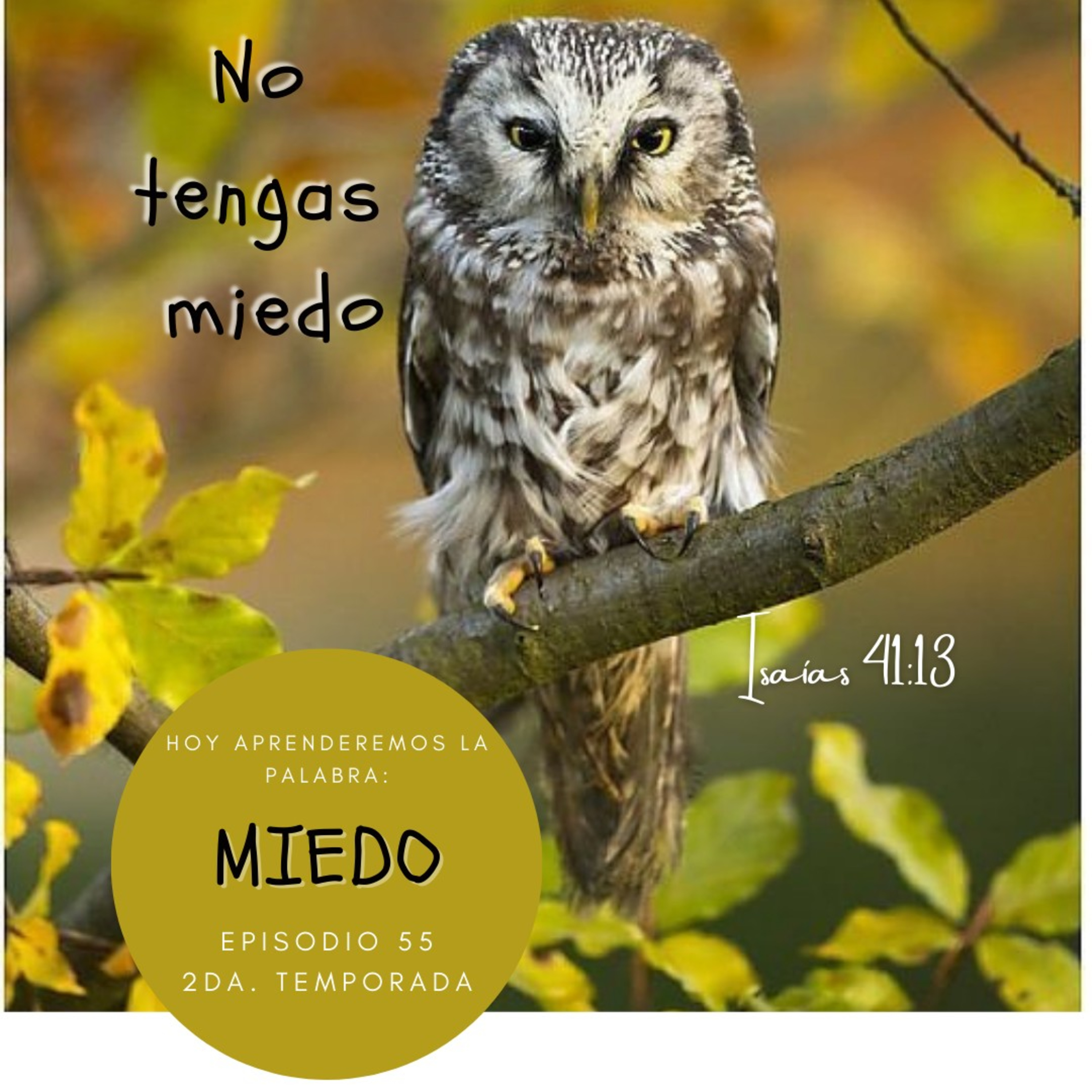 Cada Día Con Jesús