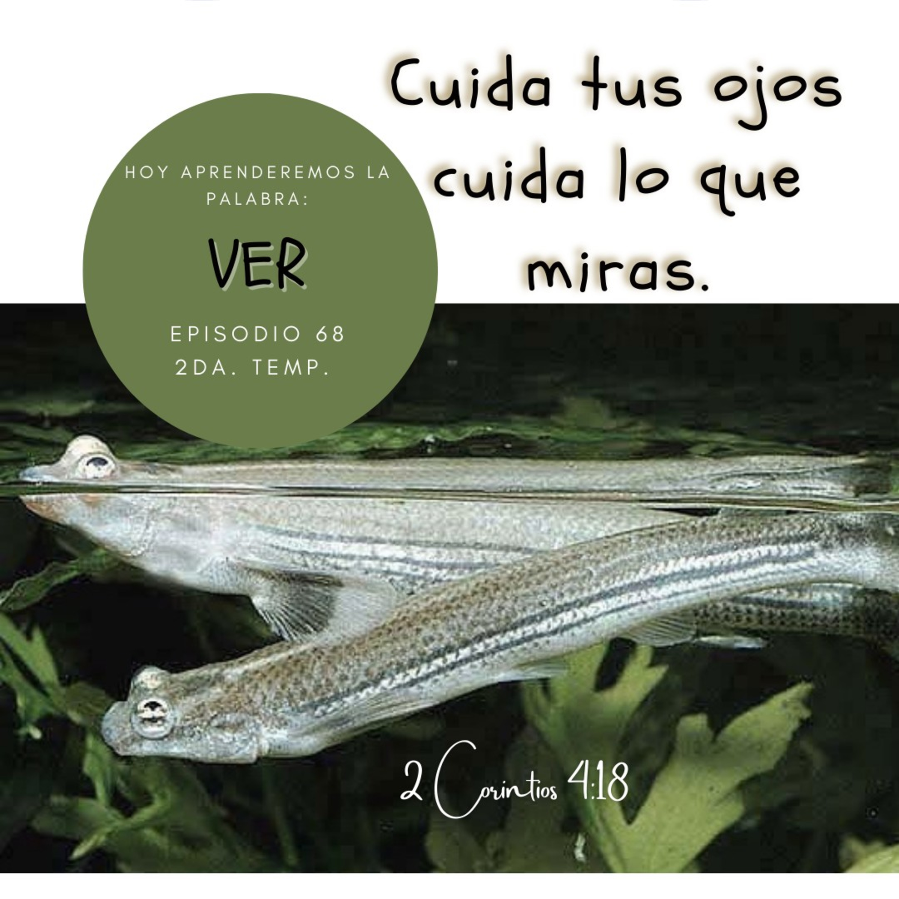 Cada Día Con Jesús