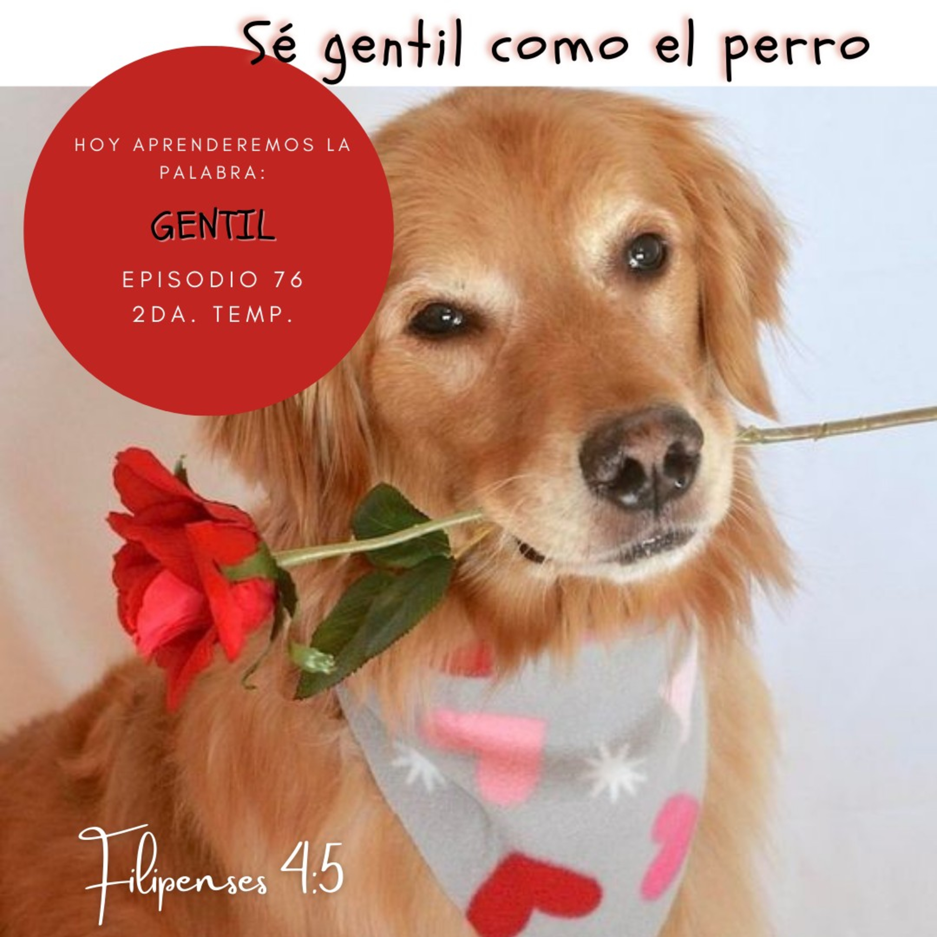 Cada Día Con Jesús