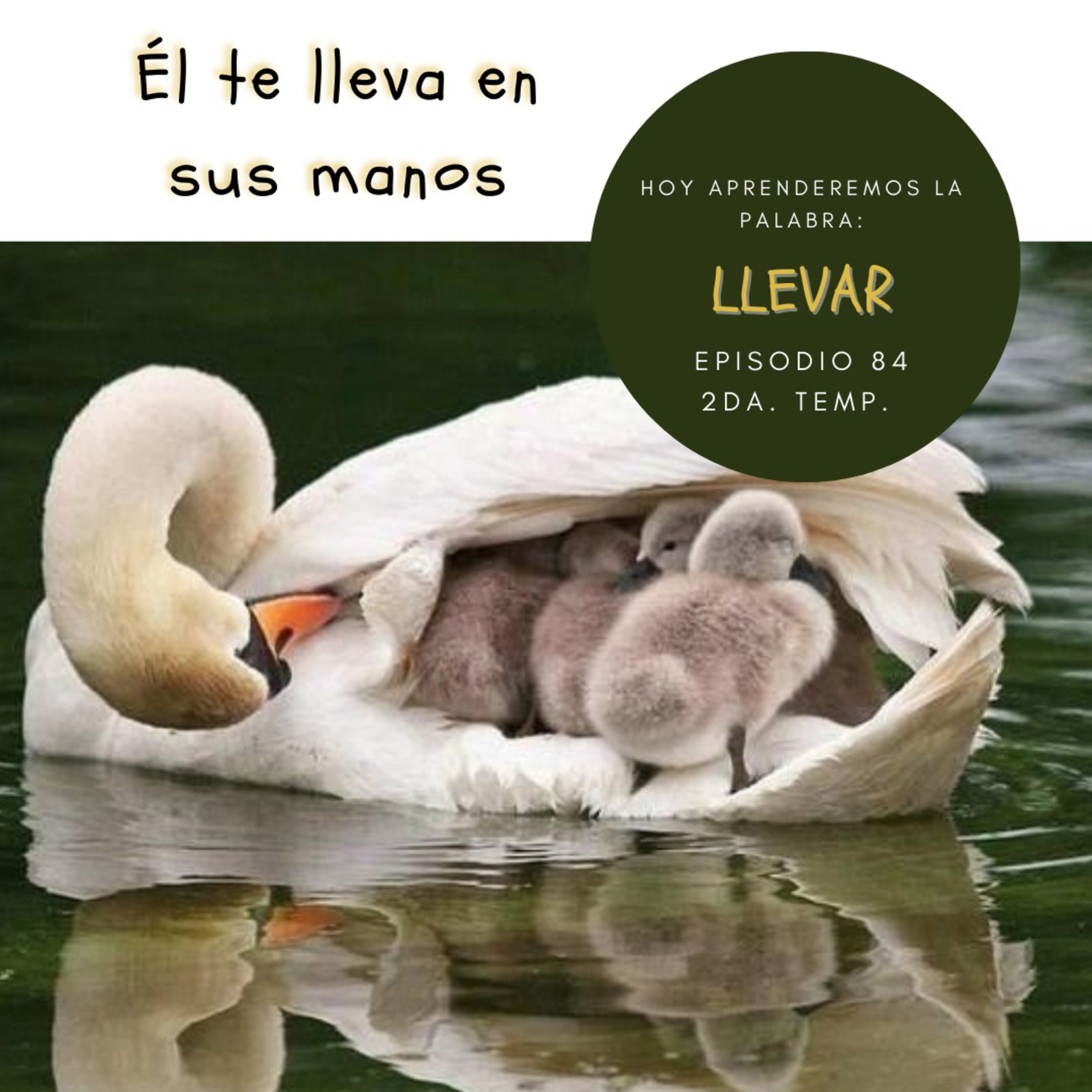 Cada Día Con Jesús