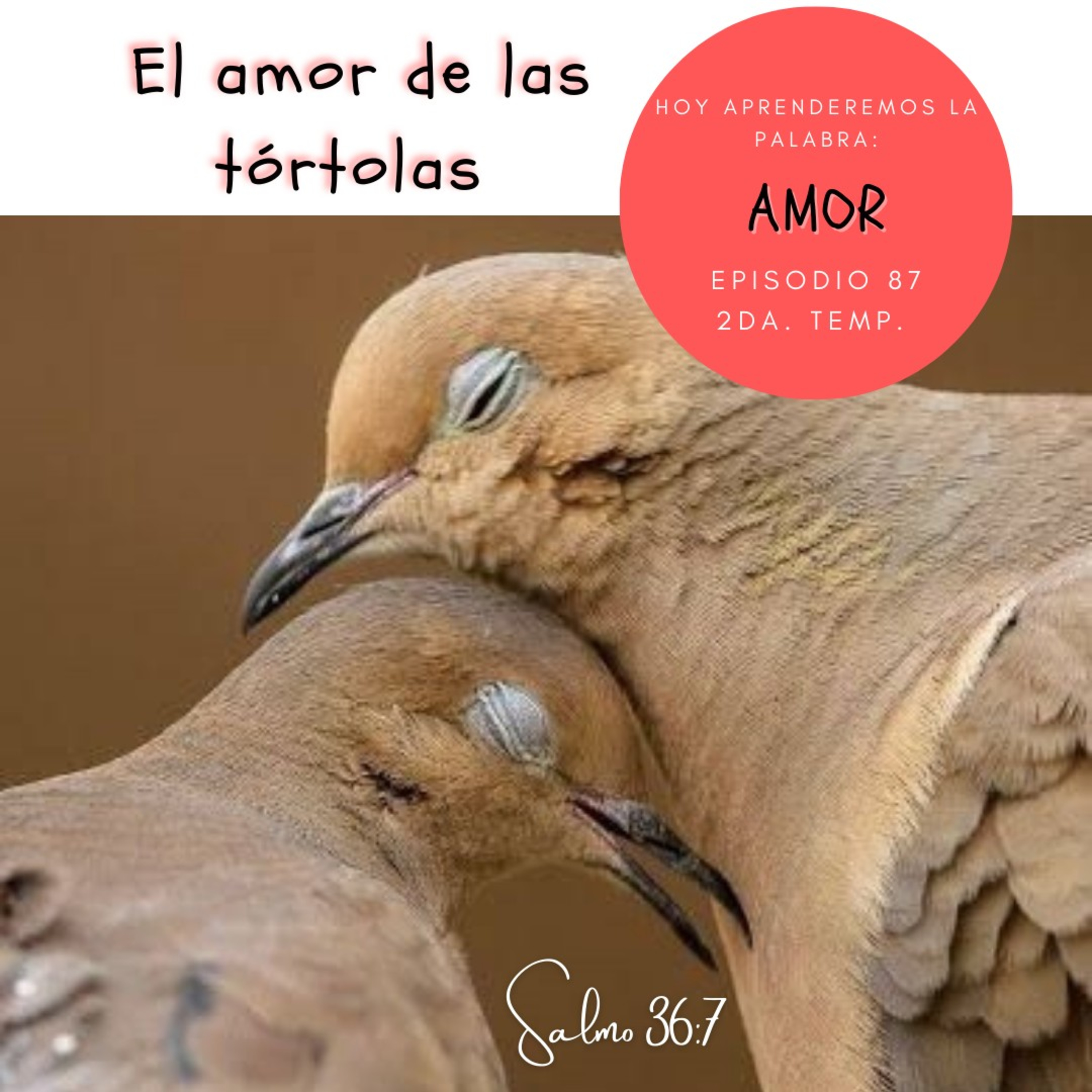 Cada Día Con Jesús