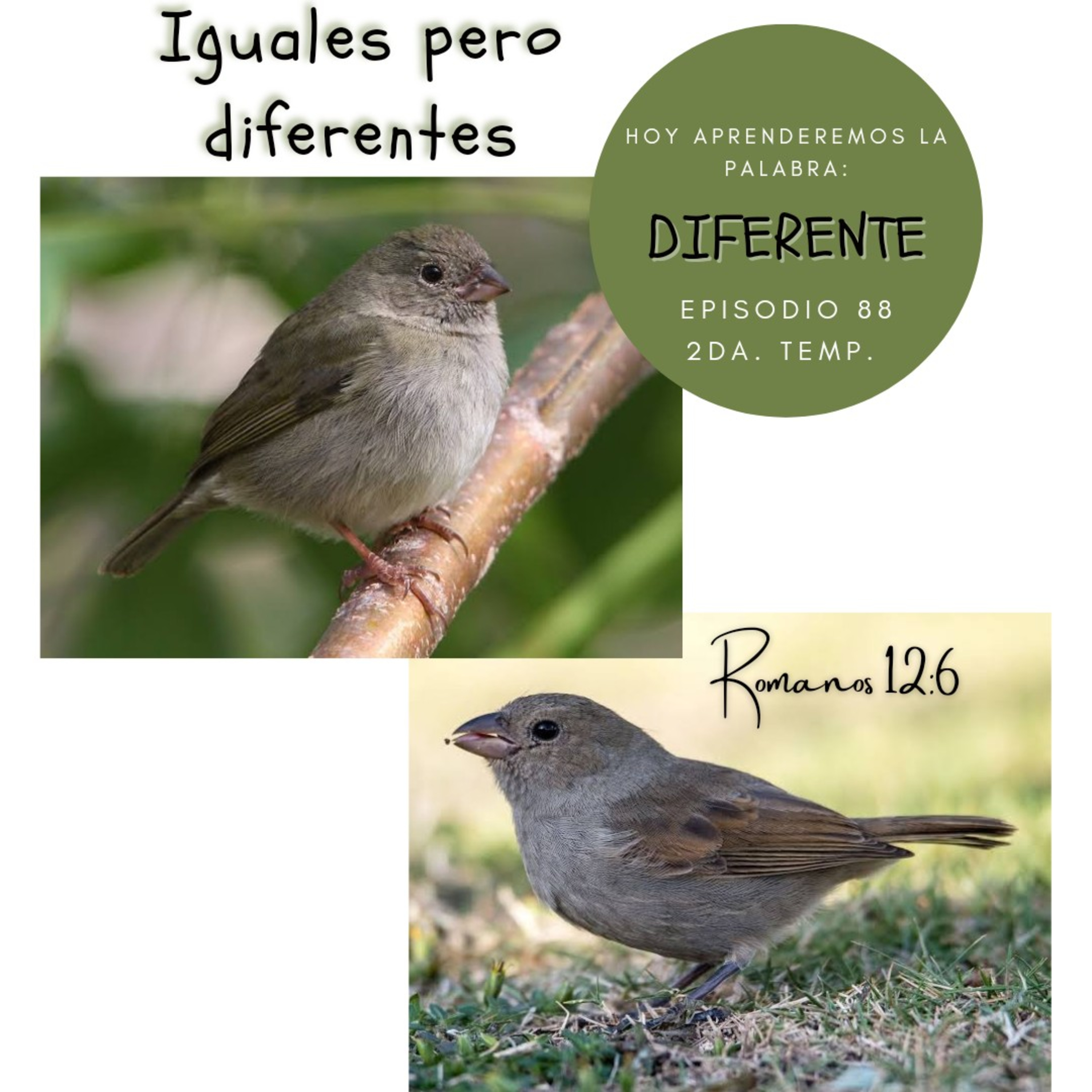 Cada Día Con Jesús