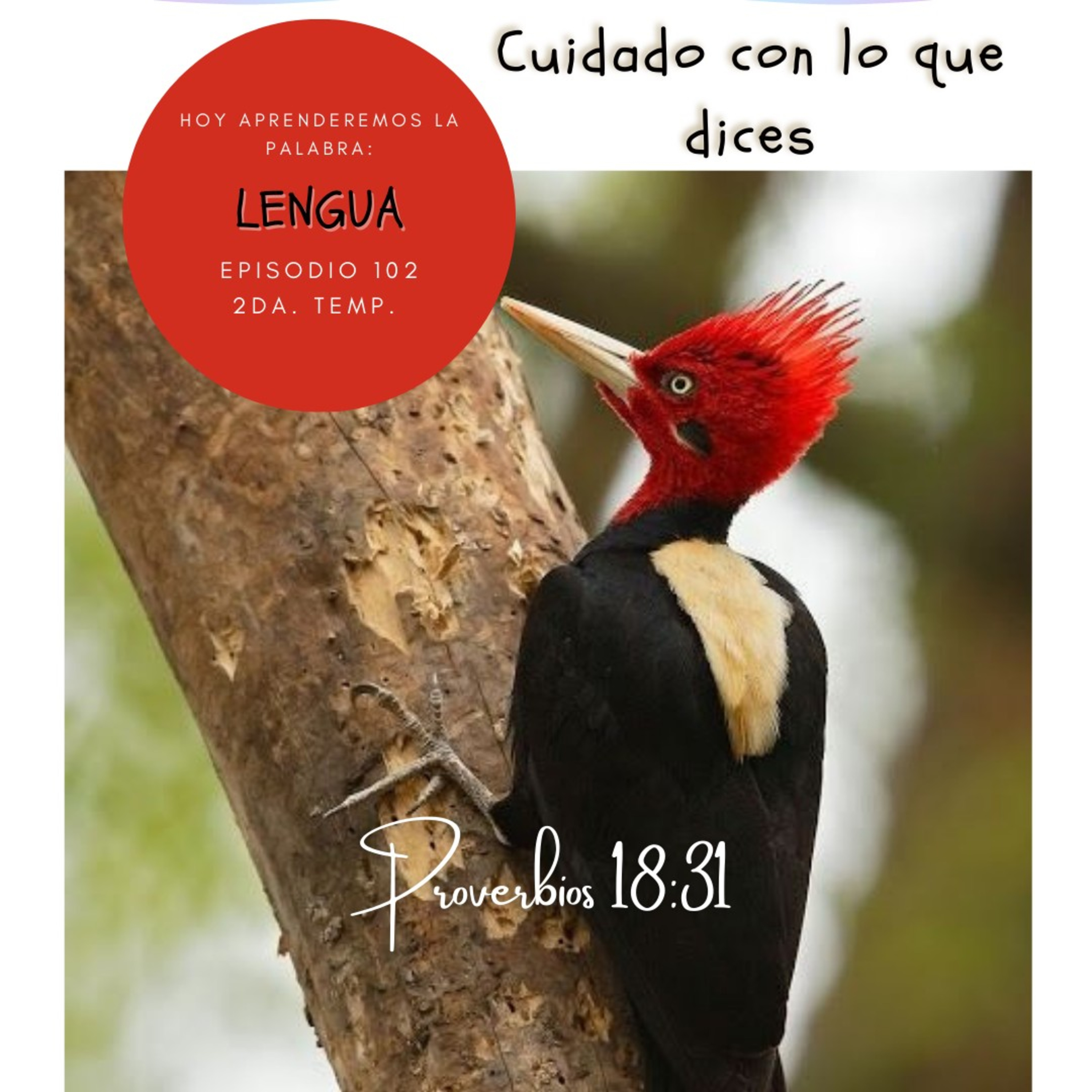 Cada Día Con Jesús