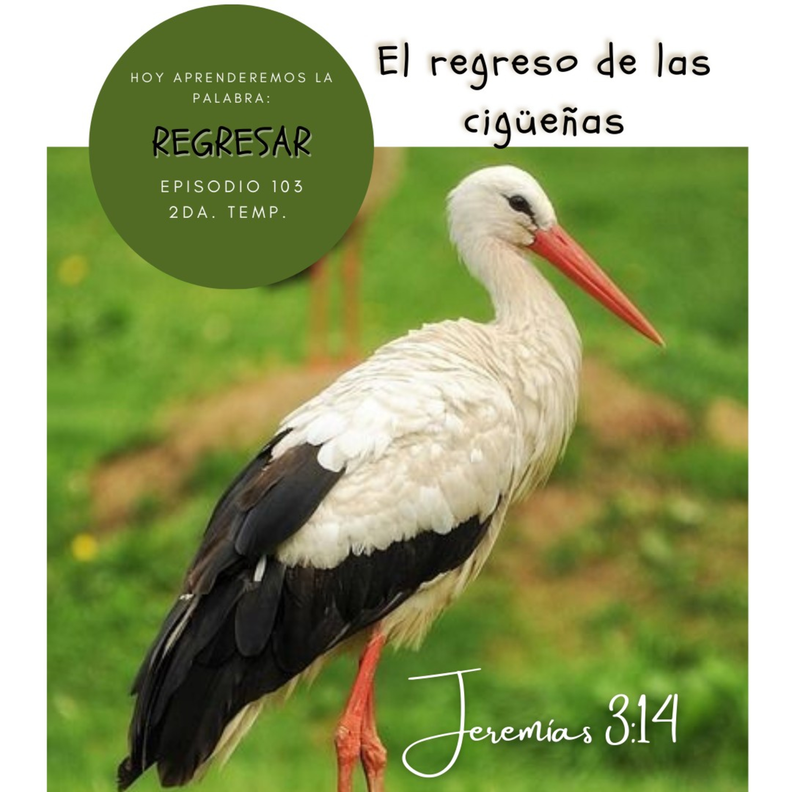Cada Día Con Jesús
