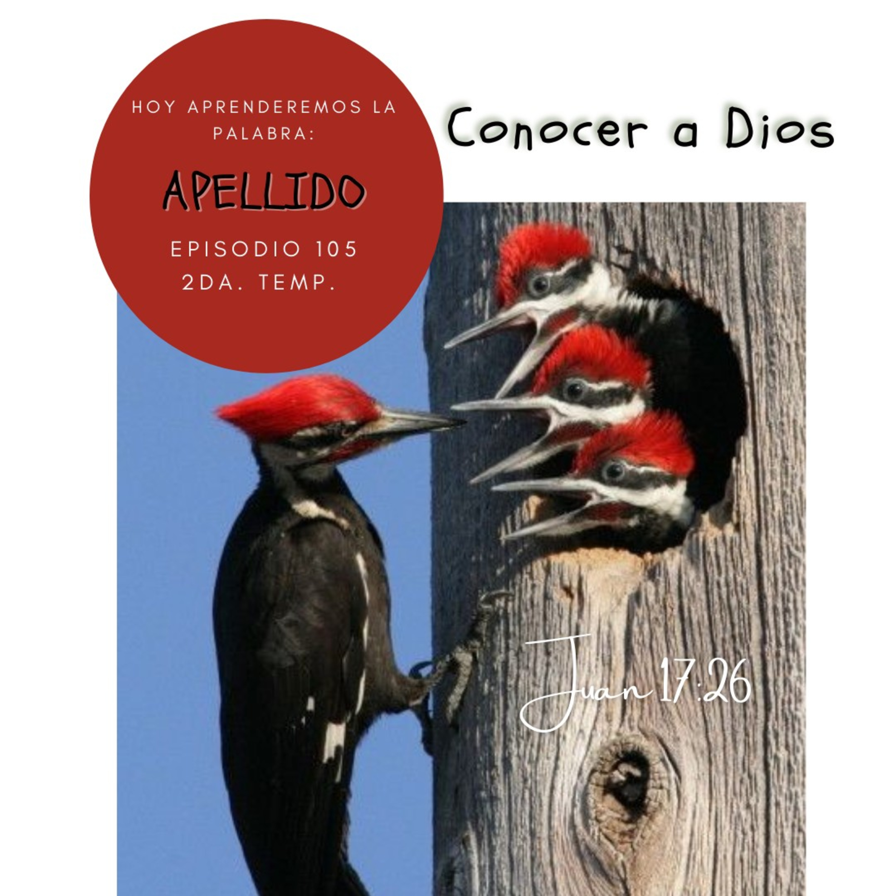 Cada Día Con Jesús