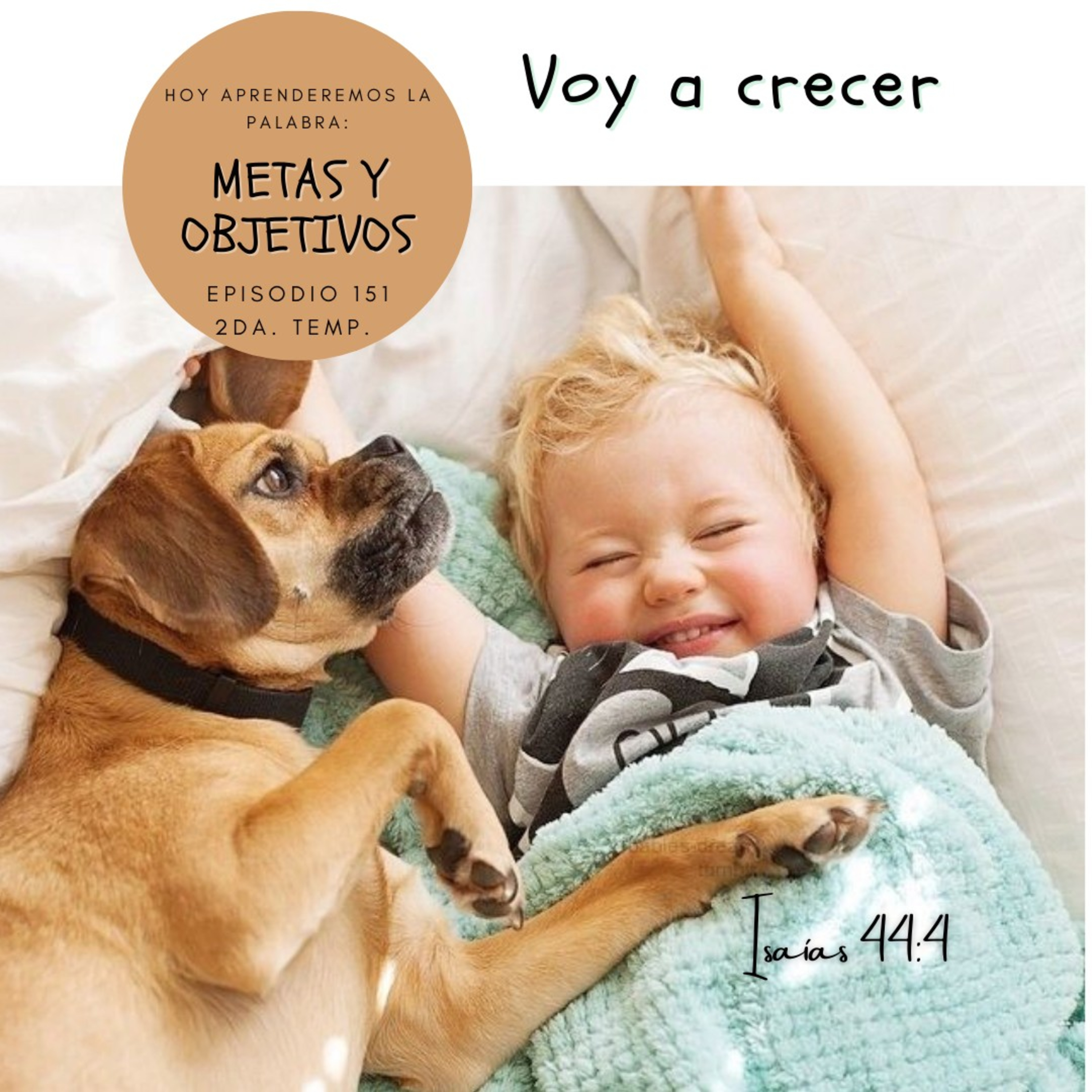 Voy a crecer  episode artwork