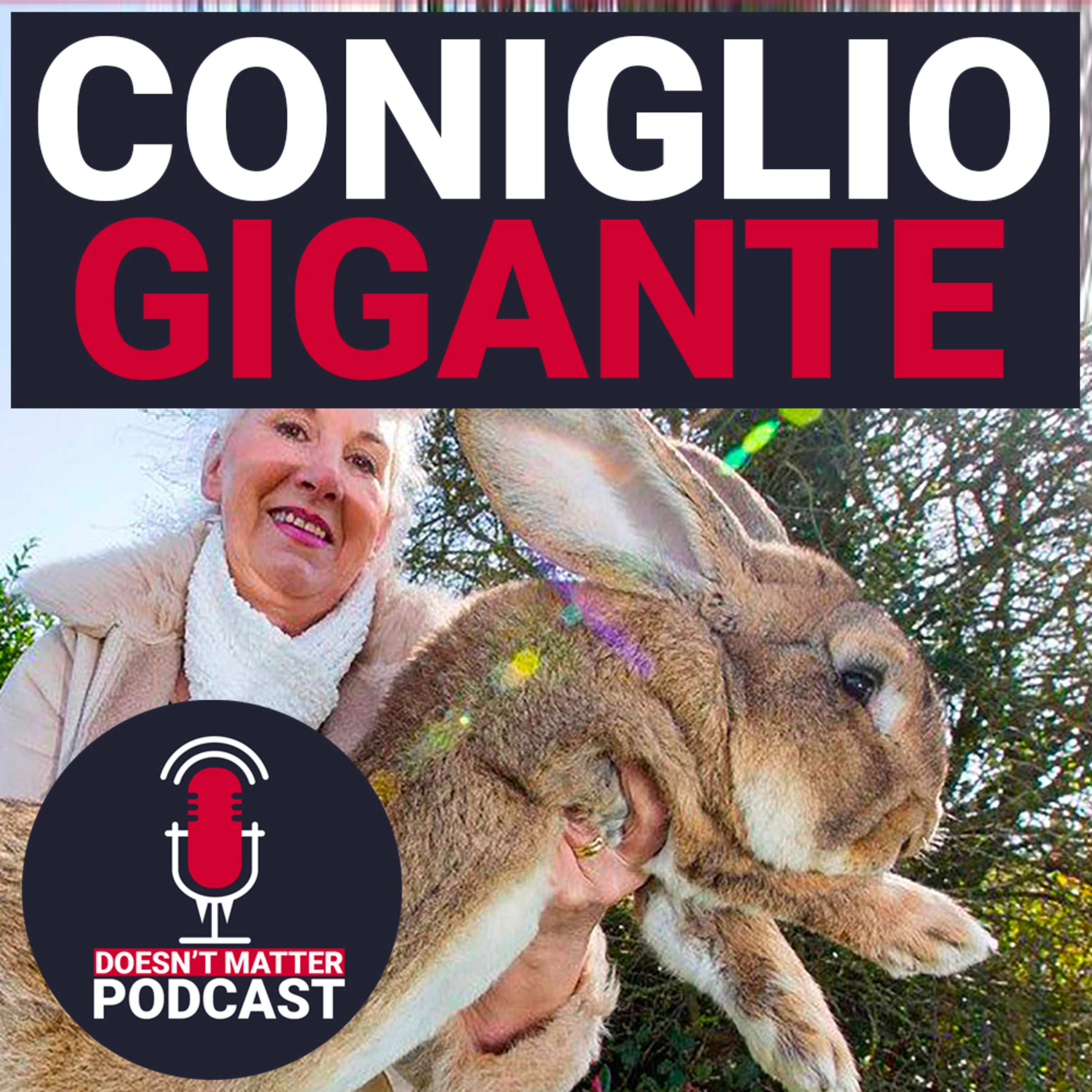 RAPITO IL CONIGLIO GIGANTE - Doesn't Matter Podcast