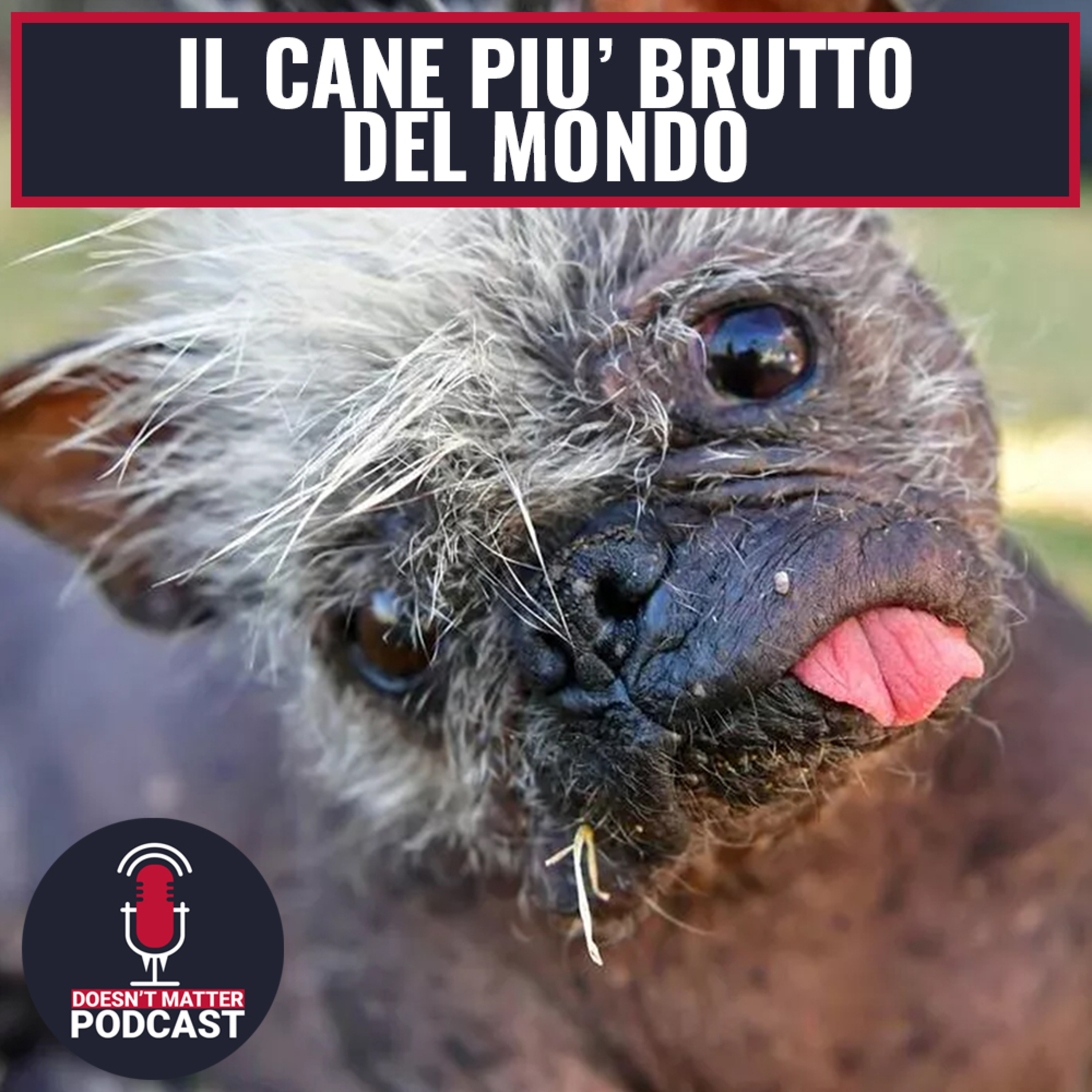IL CANE PIU' BRUTTO DEL MONDO - Doesn't Matter Podcast