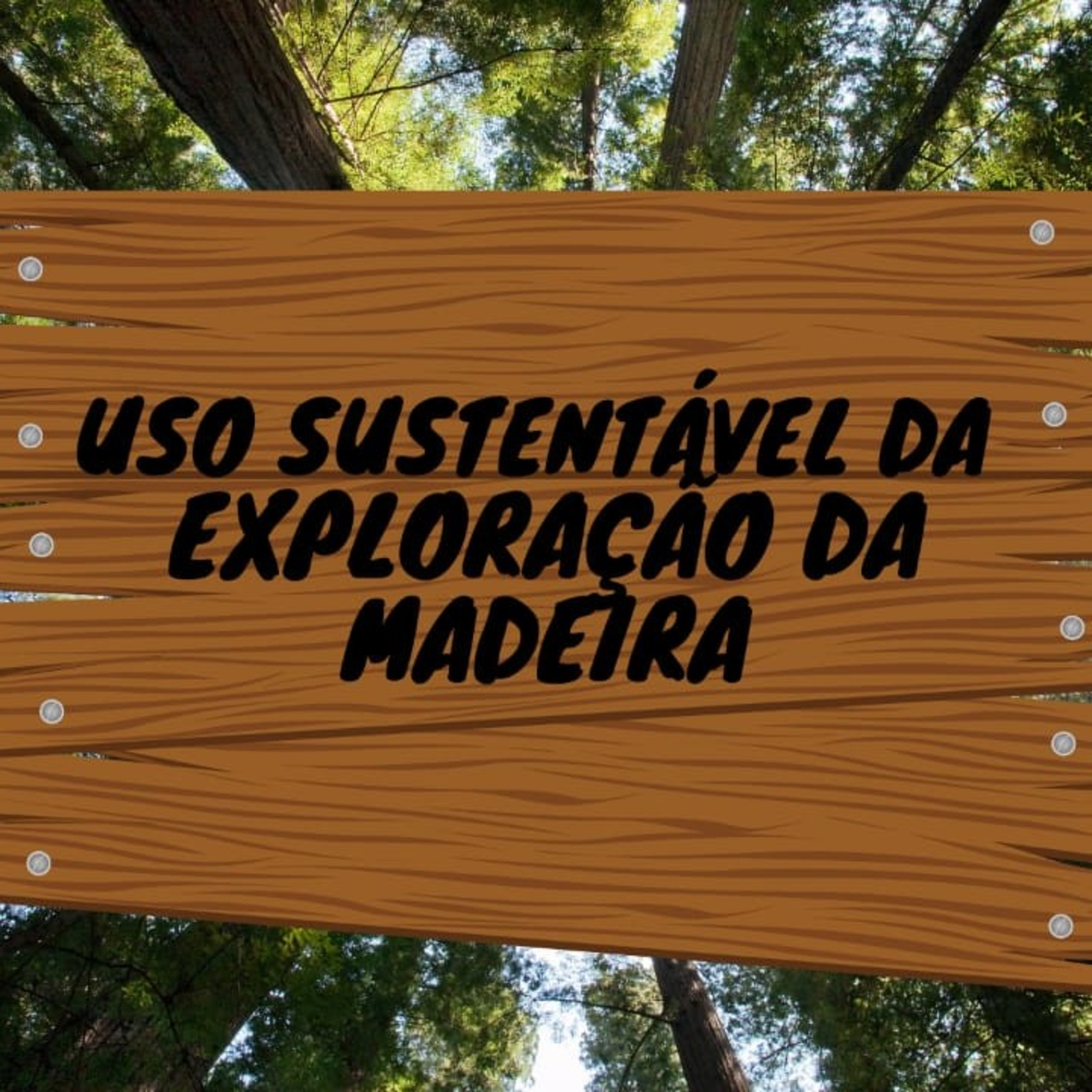 Uso sustentável da exploração da Madeira 