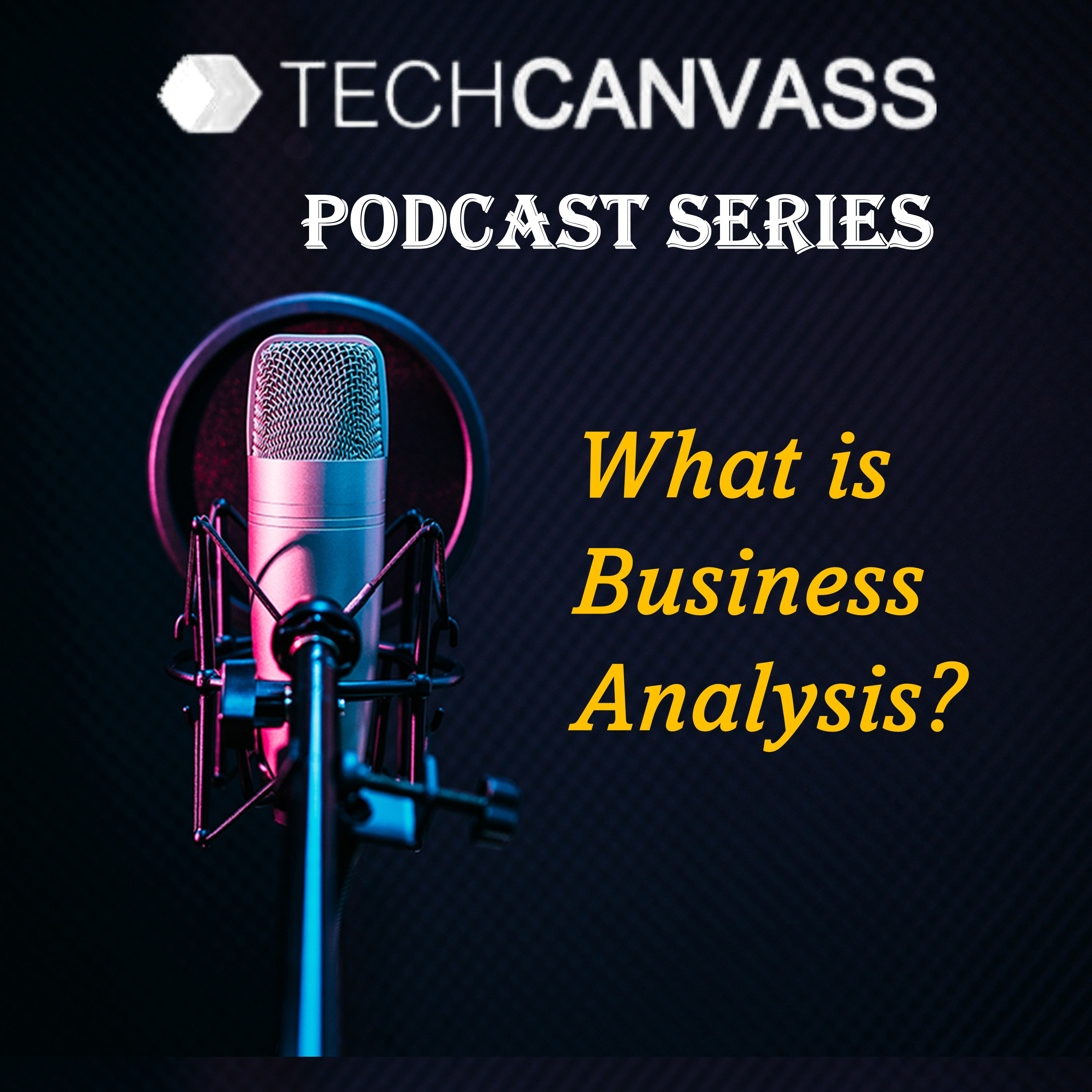 Introduction to Business Analysis episode artwork