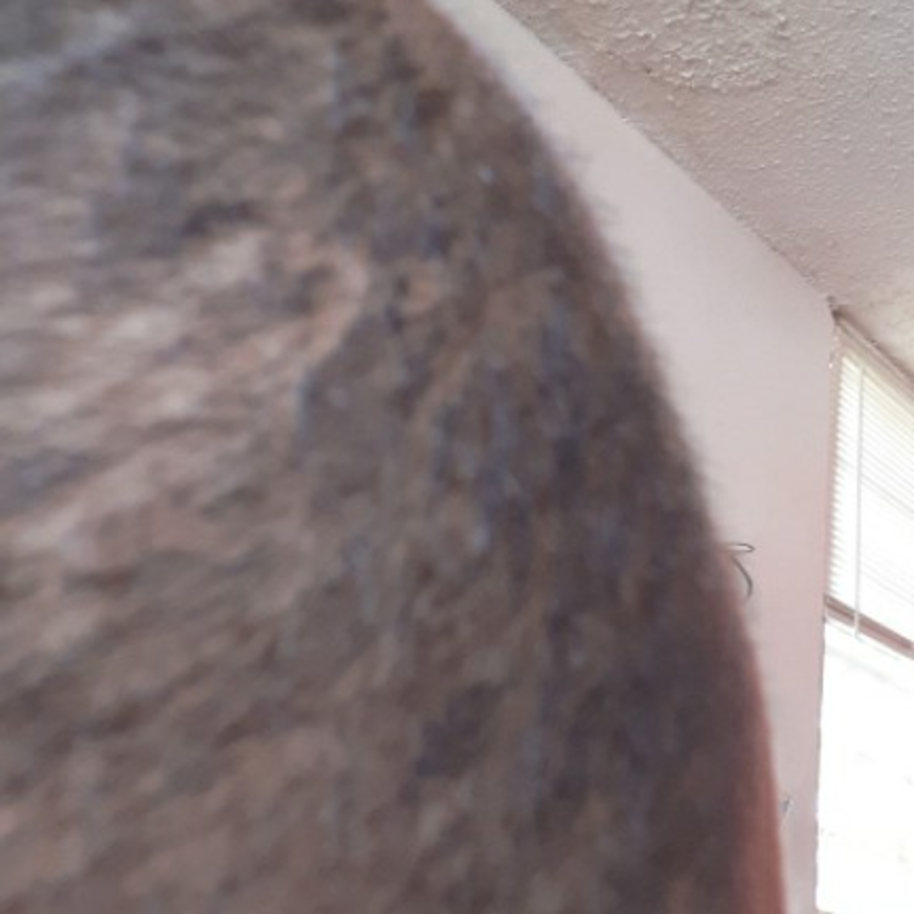 Rompiendo Varreras Desde Otra Perspectiva 2020