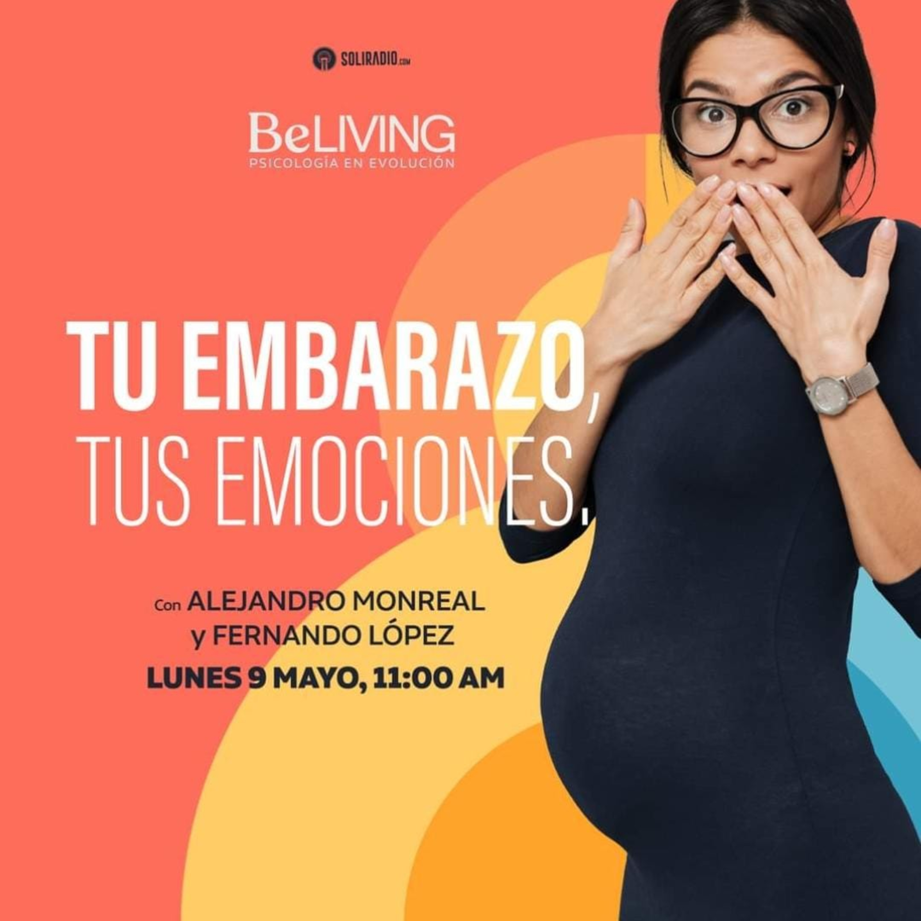 Tu embarazo, tus emociones. episode artwork