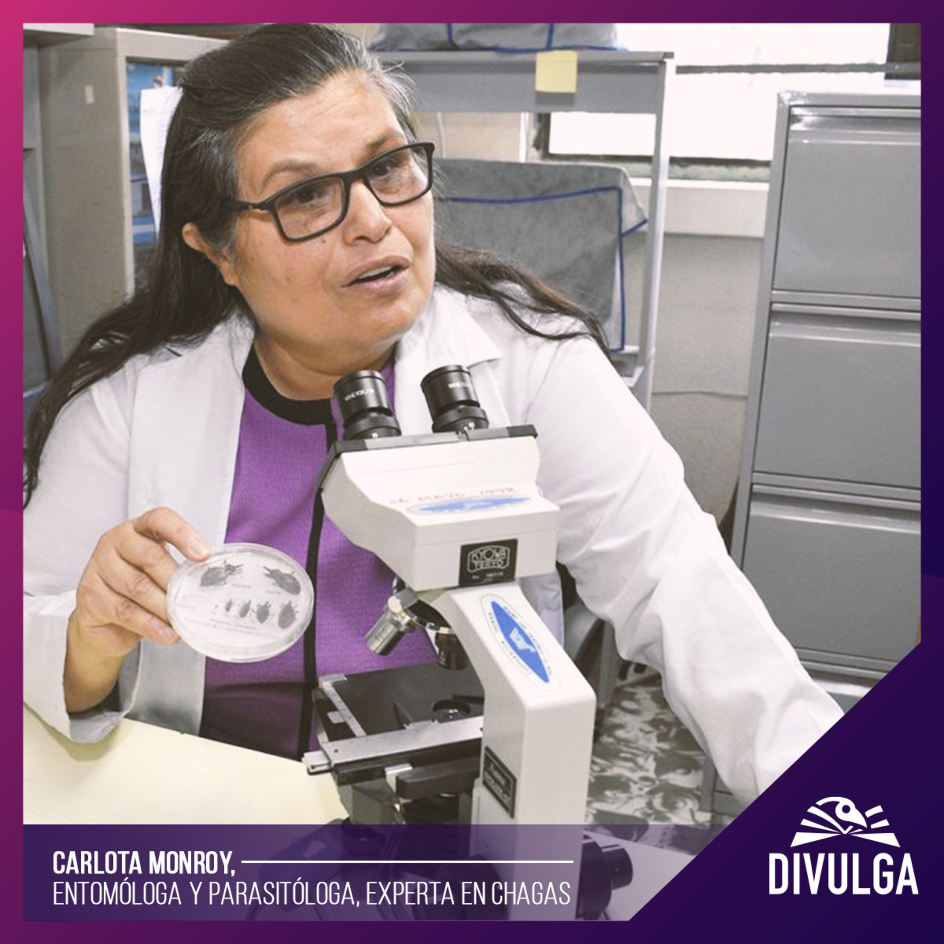 Divulga