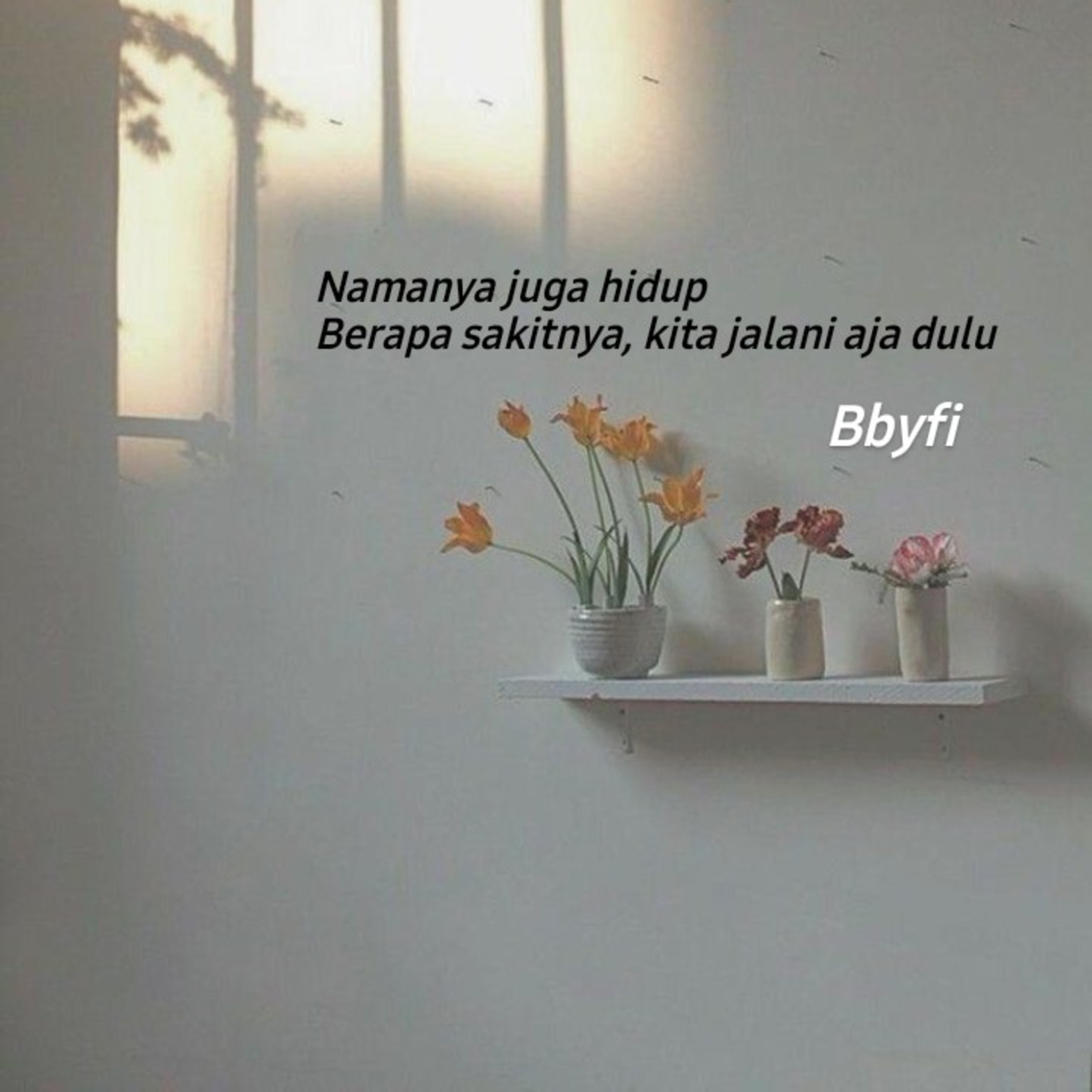 Bbyfi
