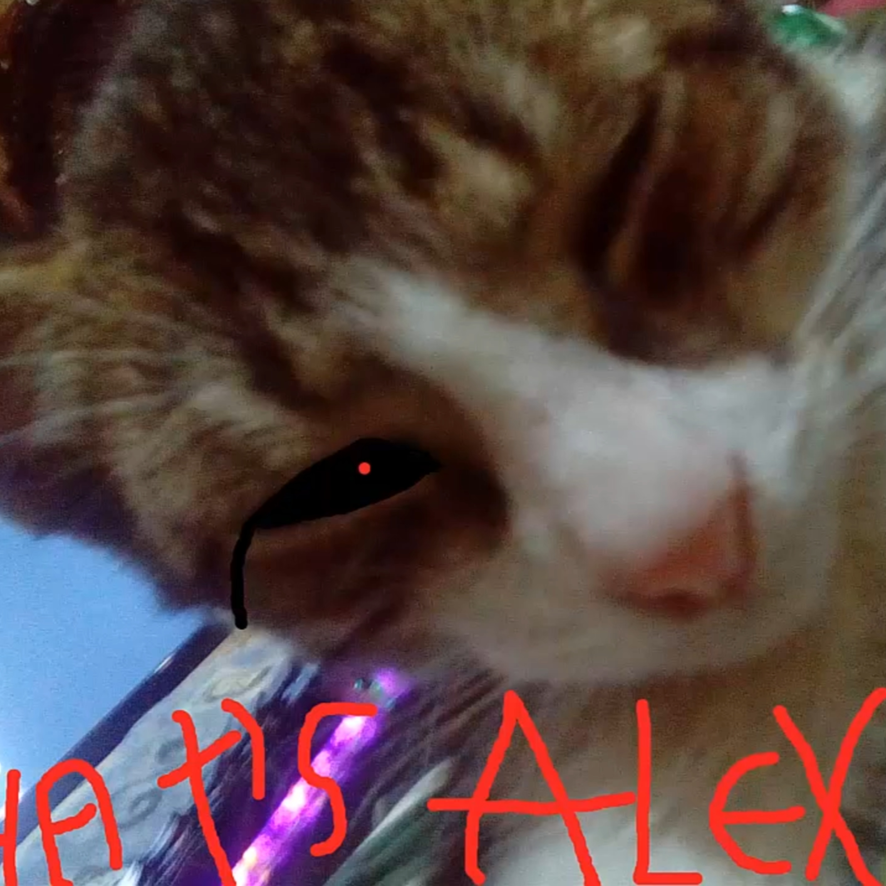 That\'s Alex Podcast