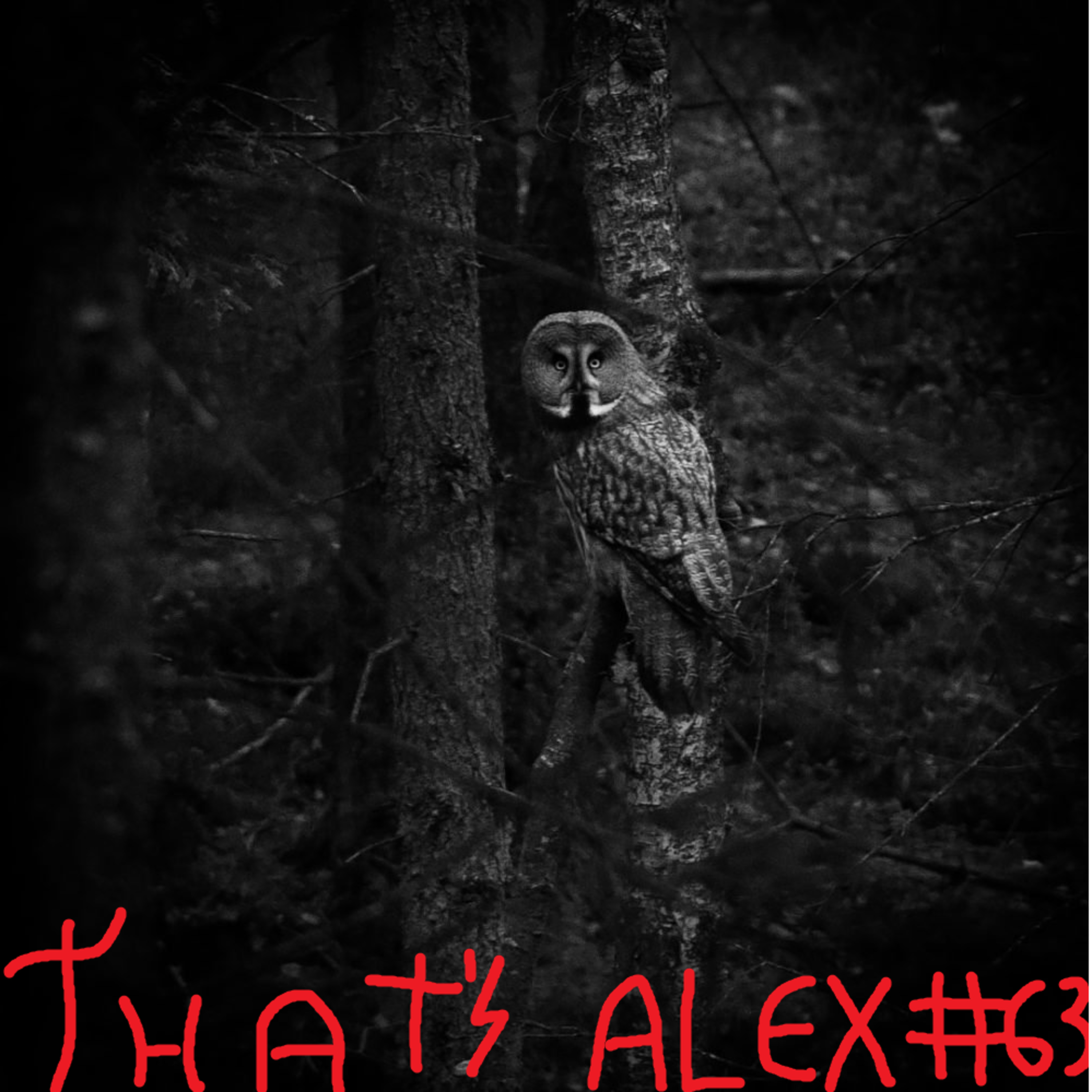 That\'s Alex Podcast