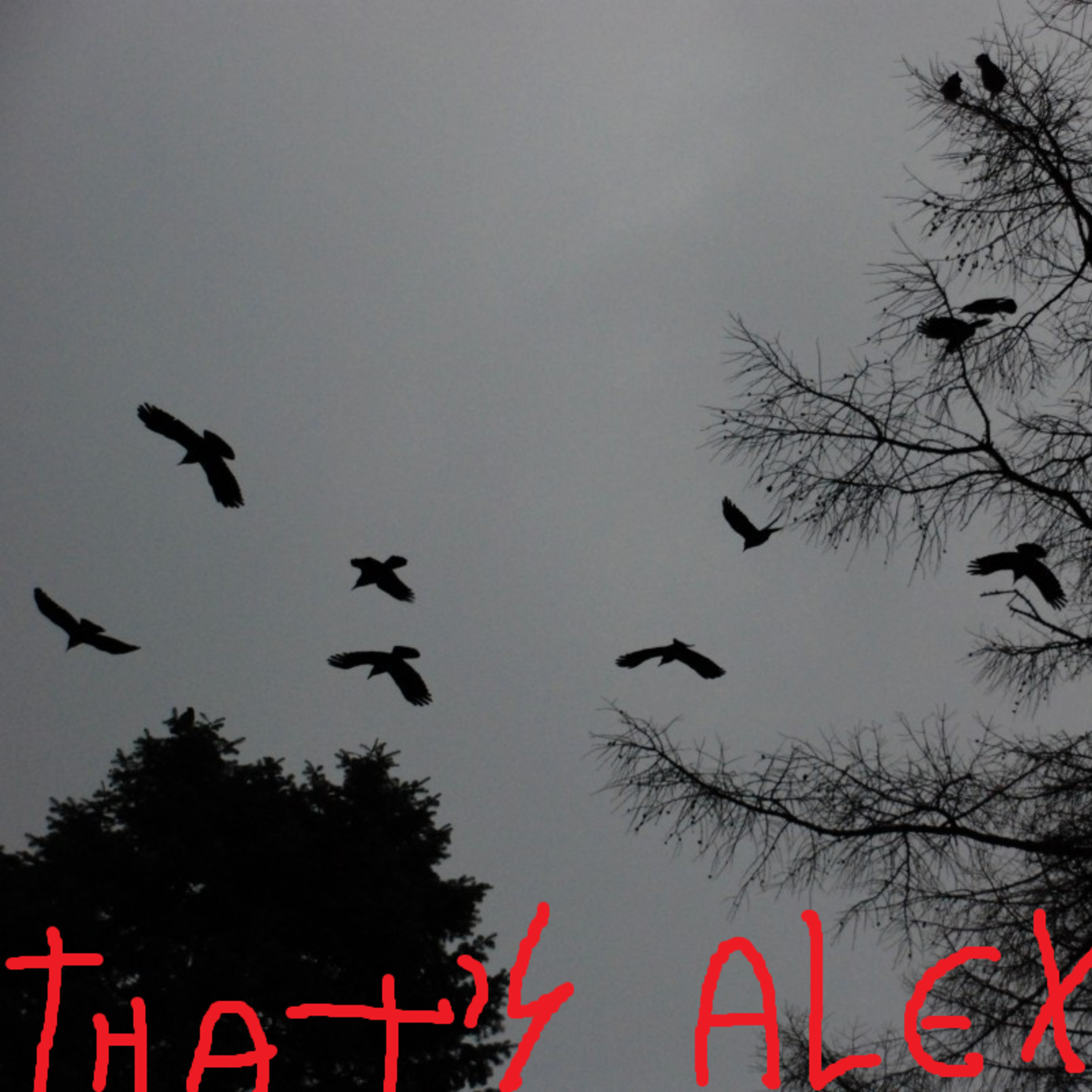 That\'s Alex Podcast