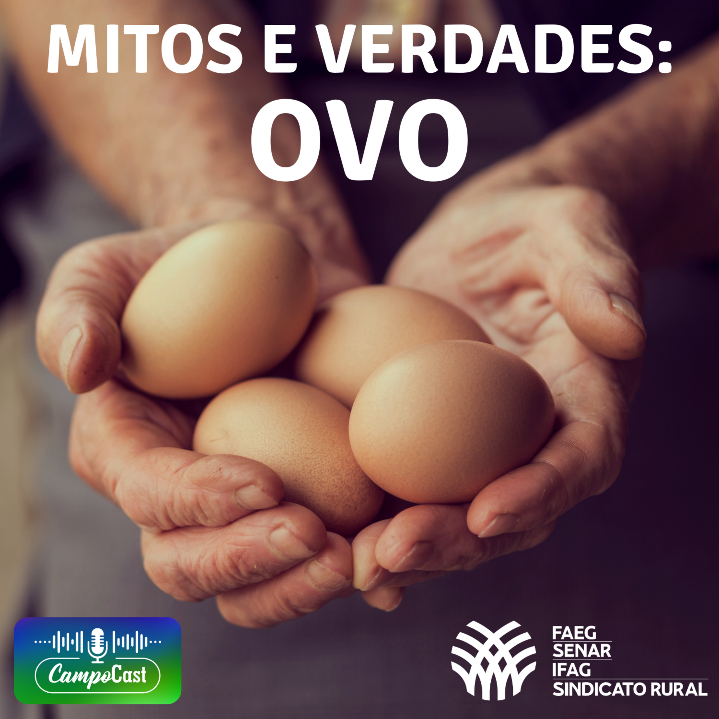 Campo Cast