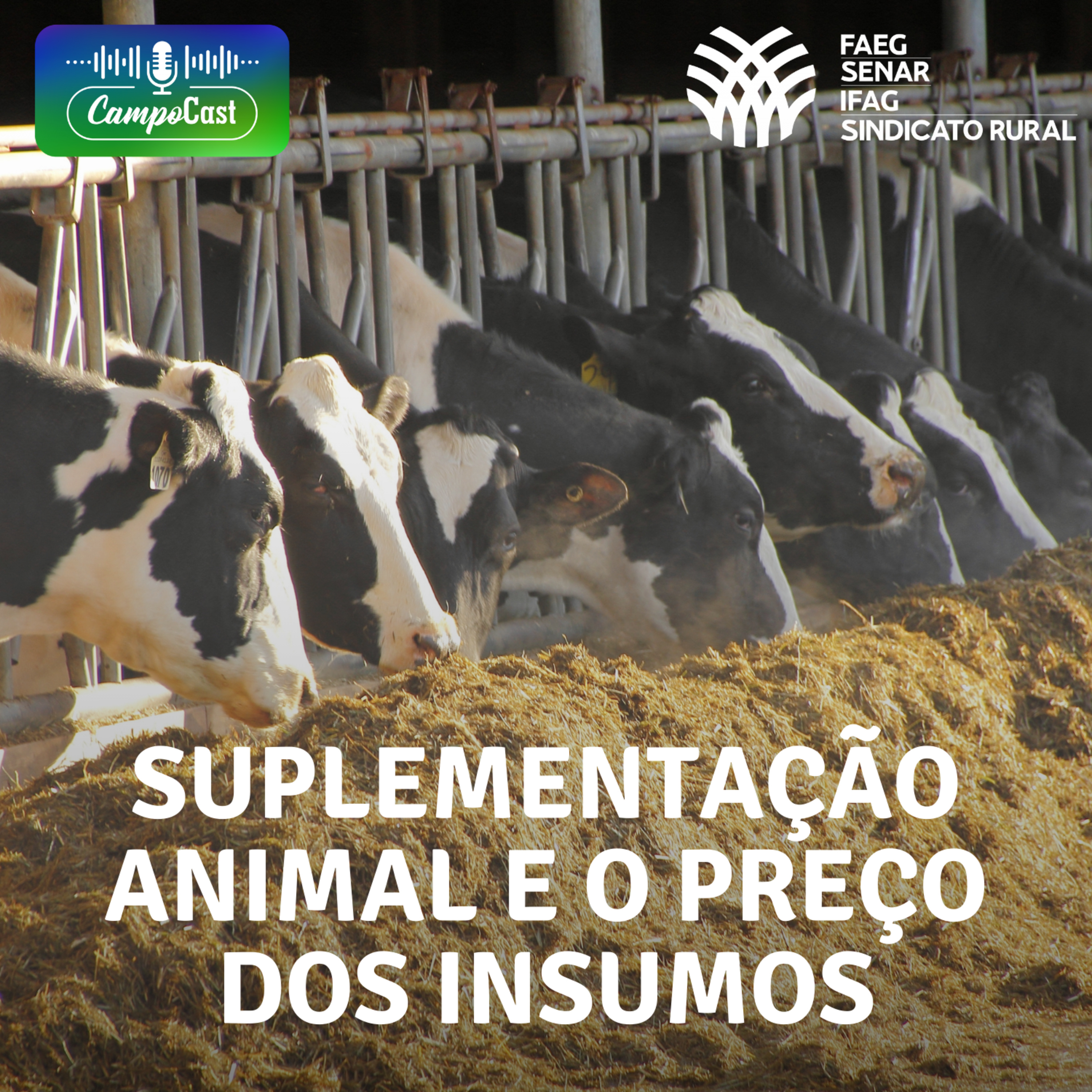 Campo Cast