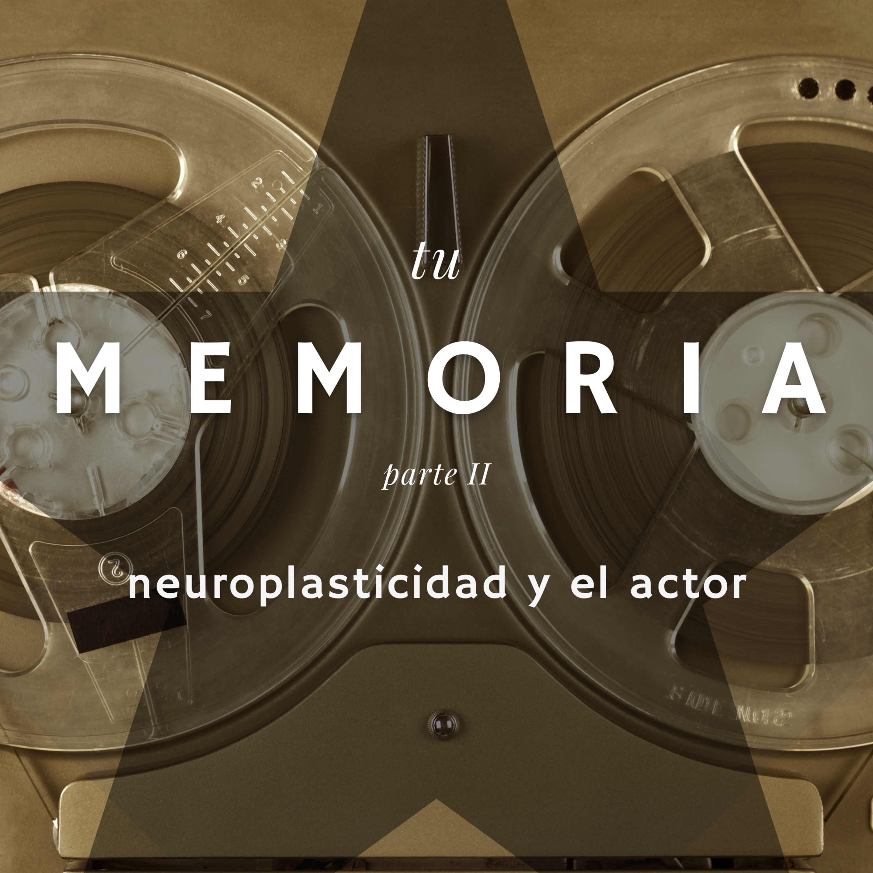 Assumpta Serna: Todo sobre la Interpretación