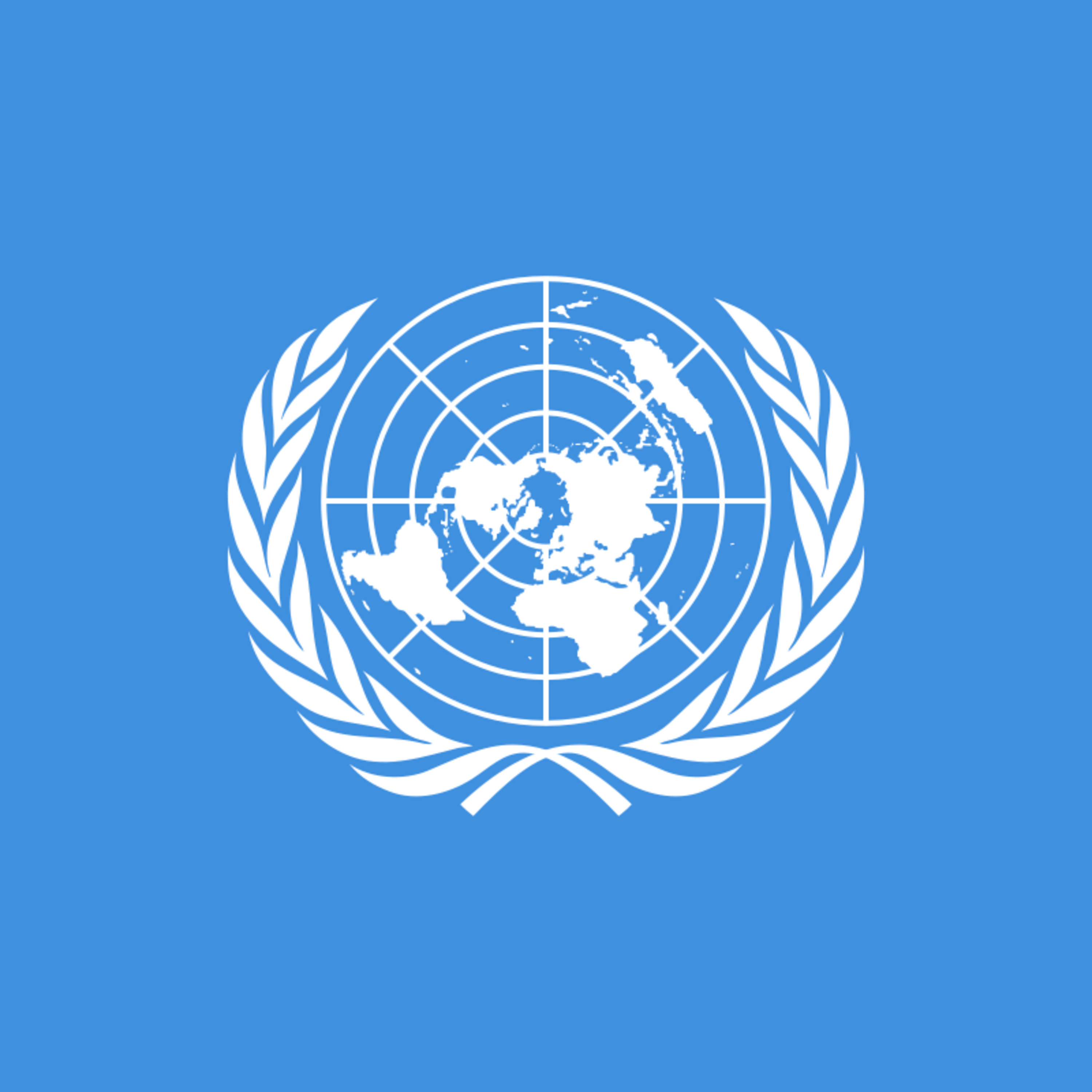 La ONU pone en el foco internacional el conflicto en el sur de nuestro país episode artwork