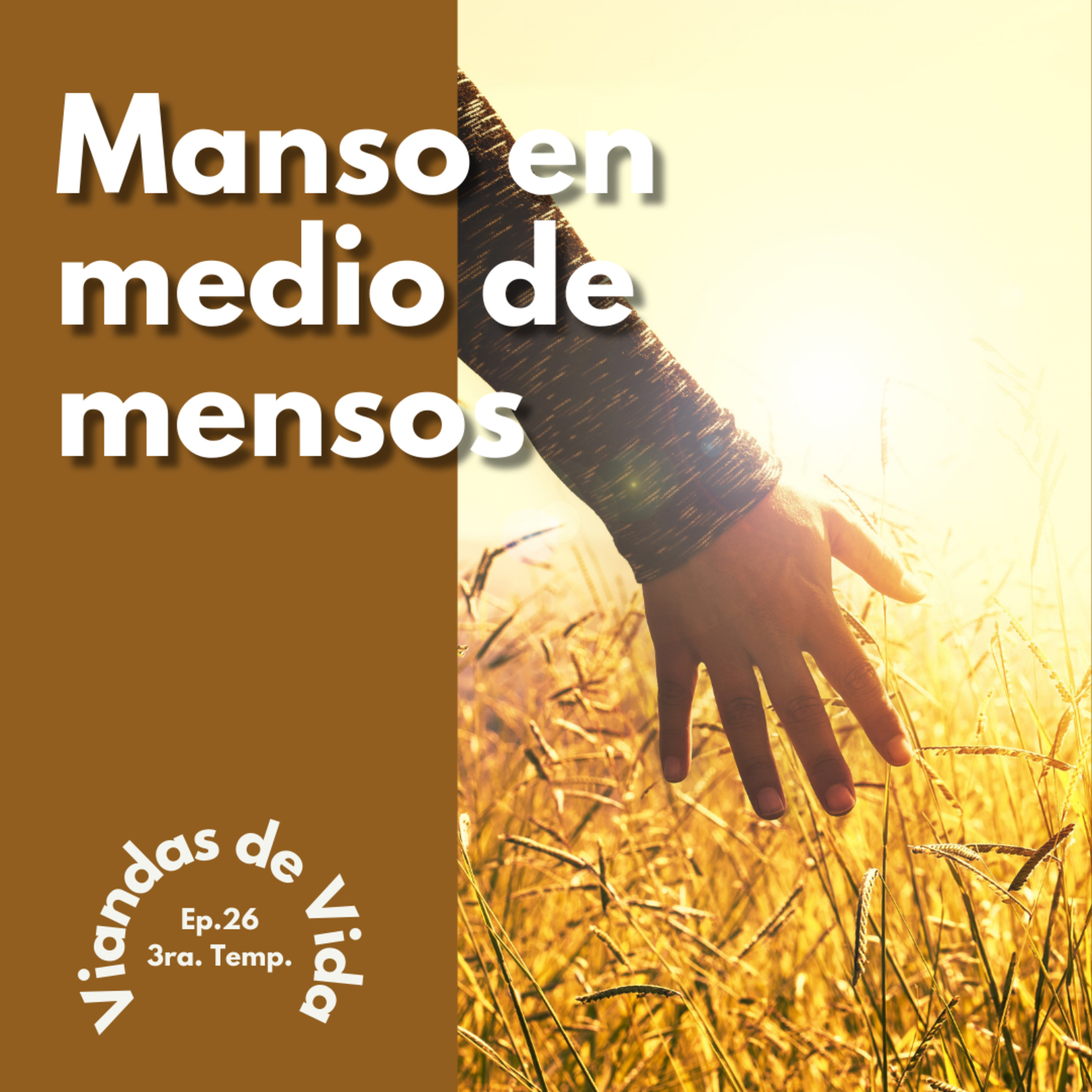 Viandas de Vida