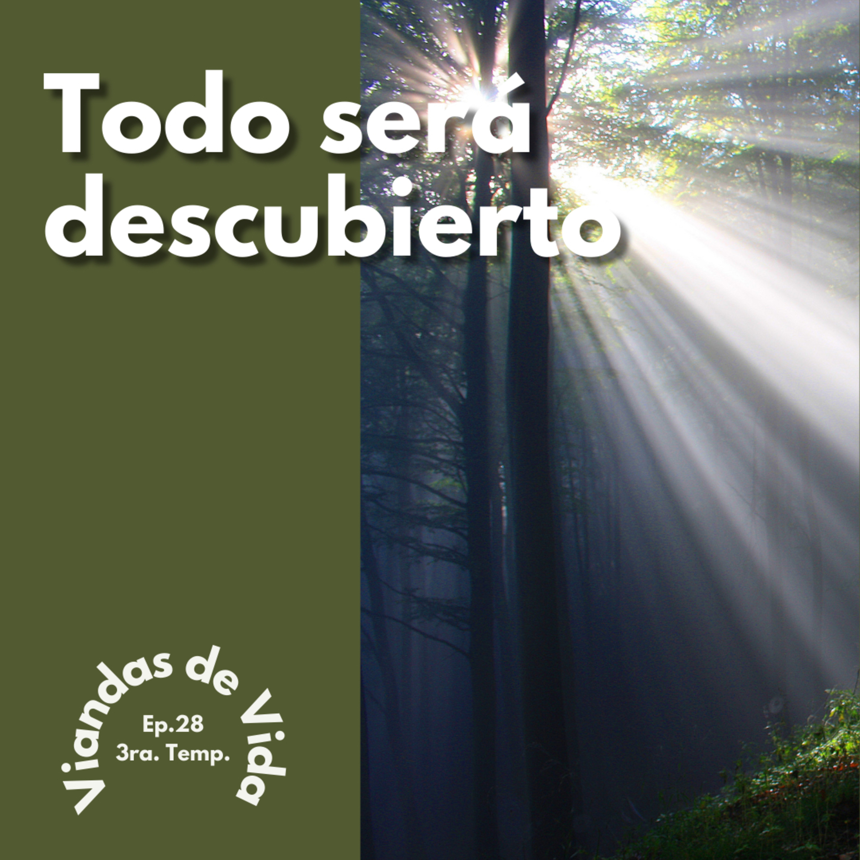 Viandas de Vida