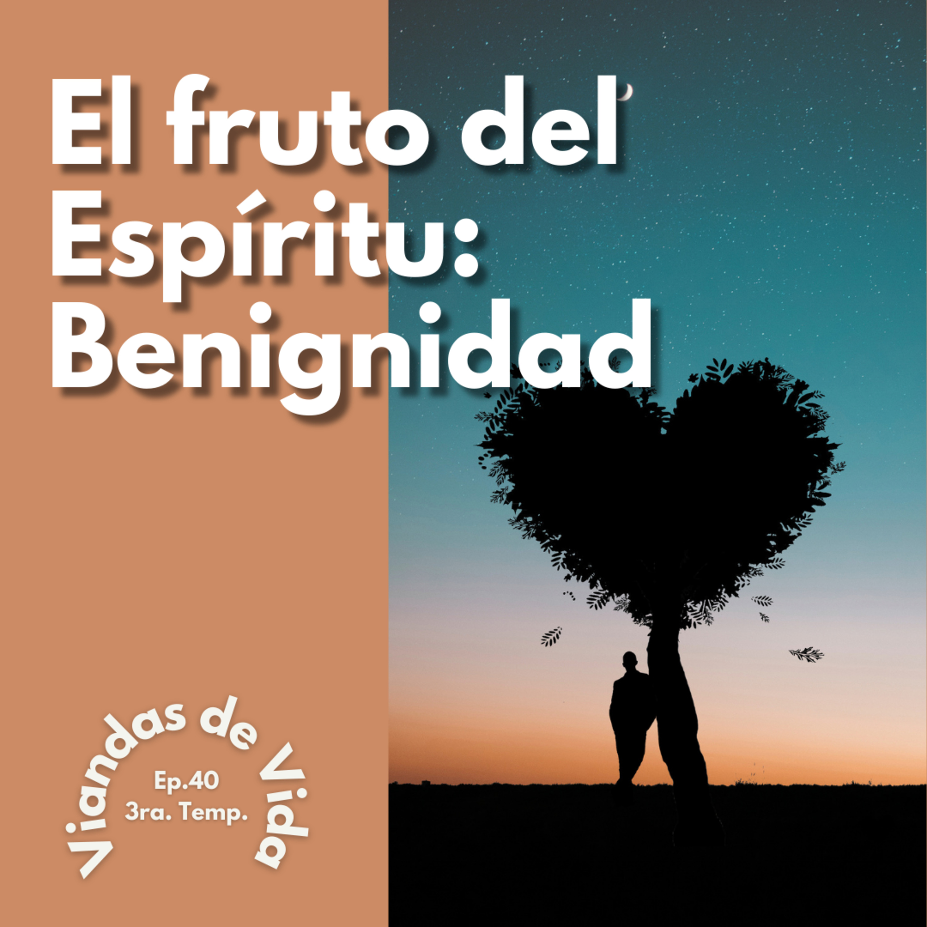 Viandas de Vida