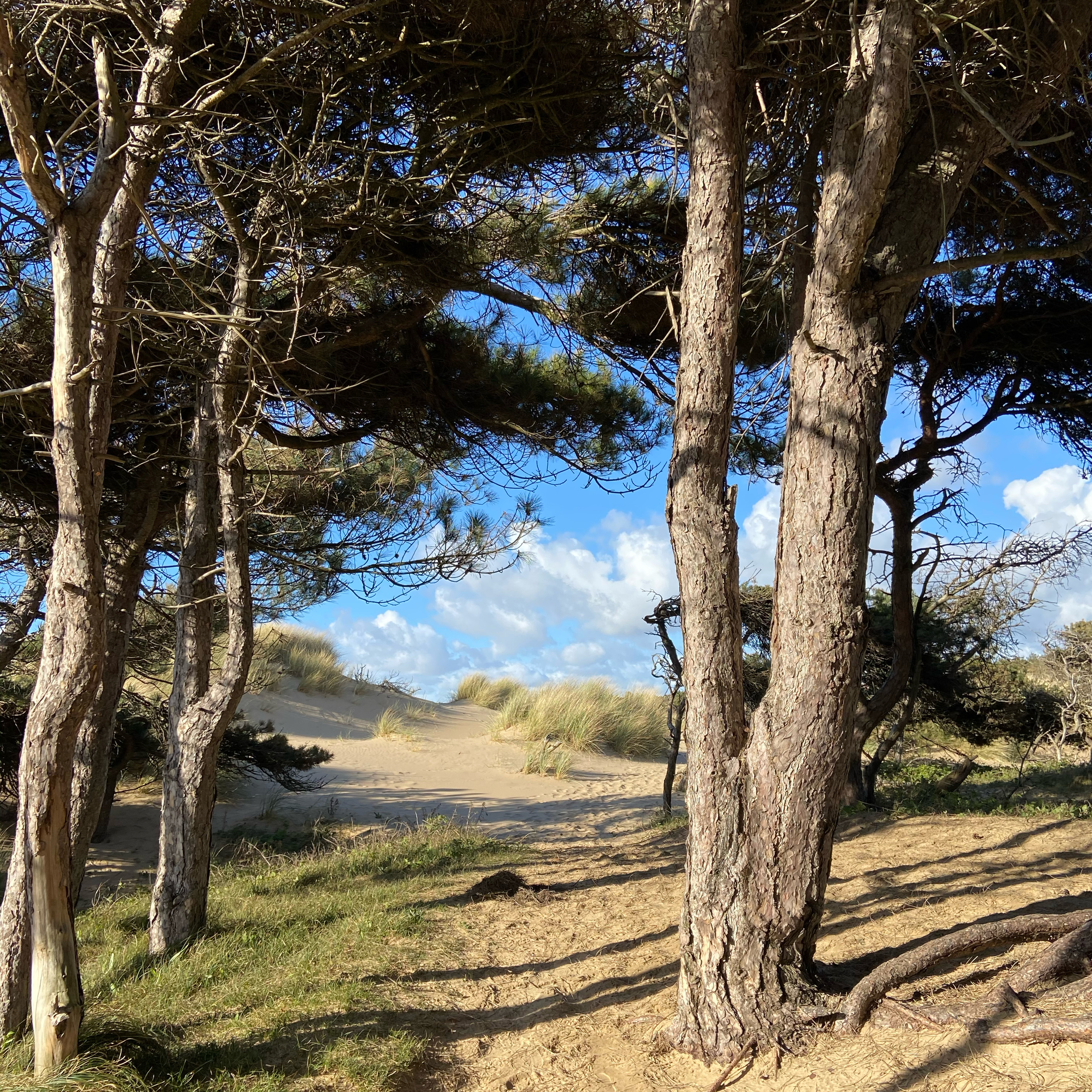Formby Podcast