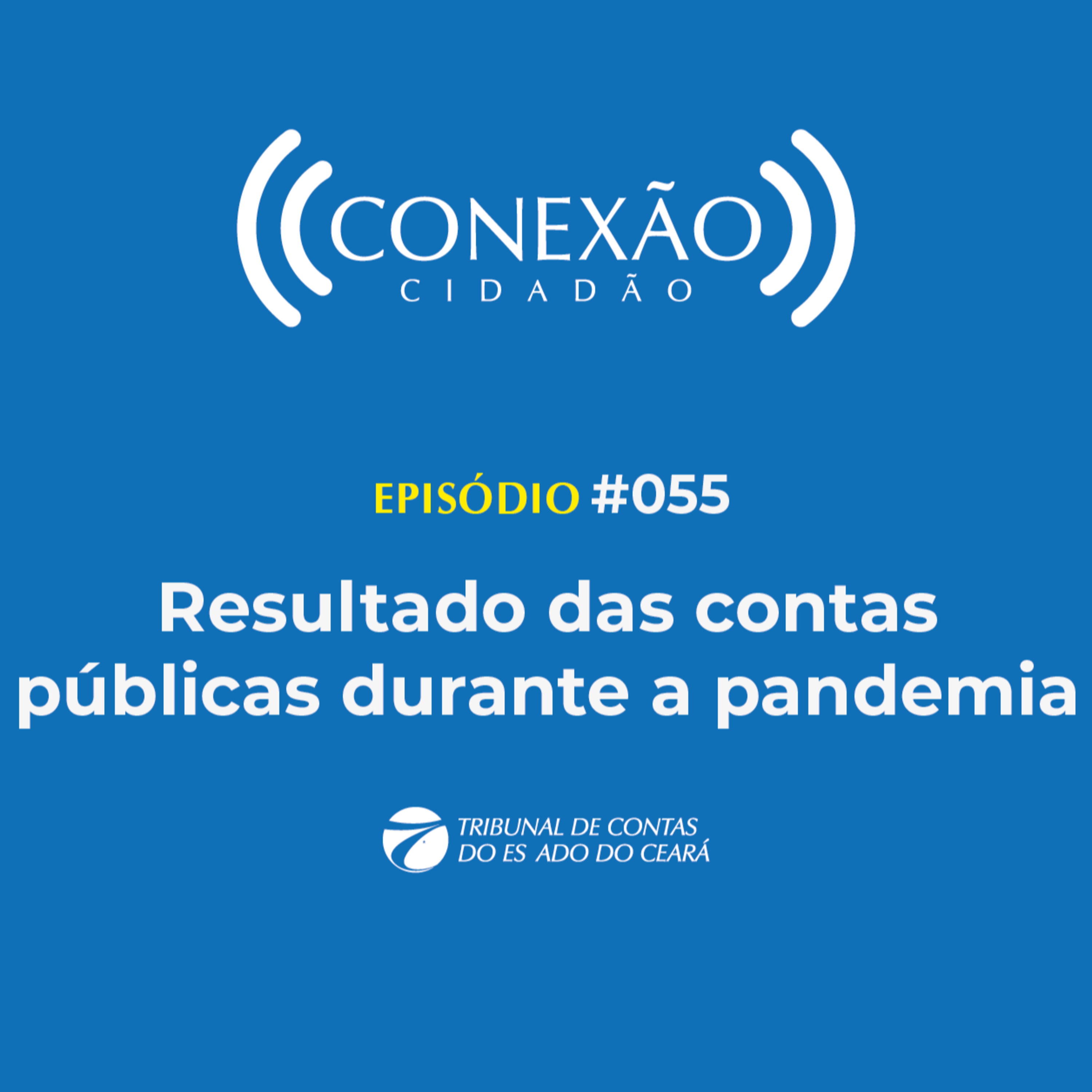 Conexão Cidadão