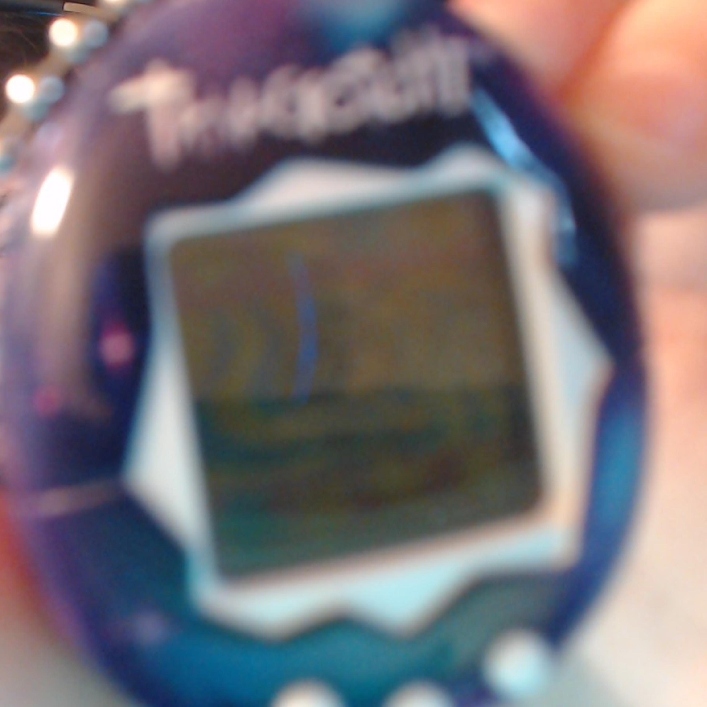 tamagotchi time! / script challenge  episode artwork