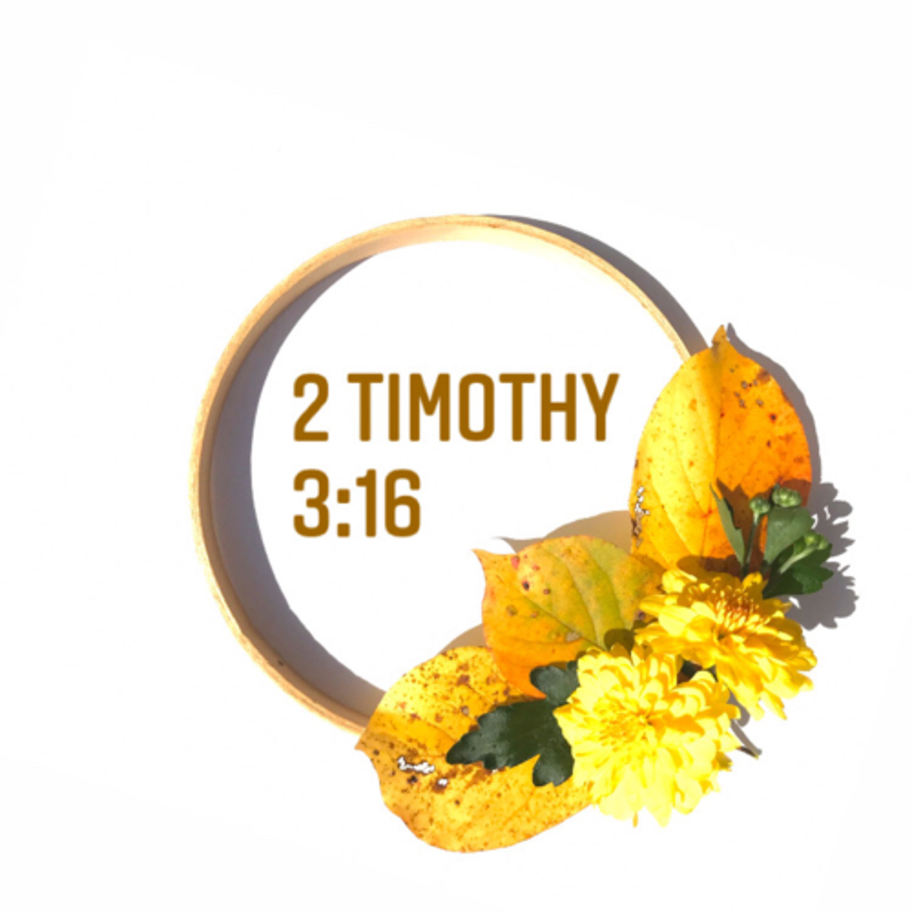 Get to know us! 2Timothy3:16 episode artwork