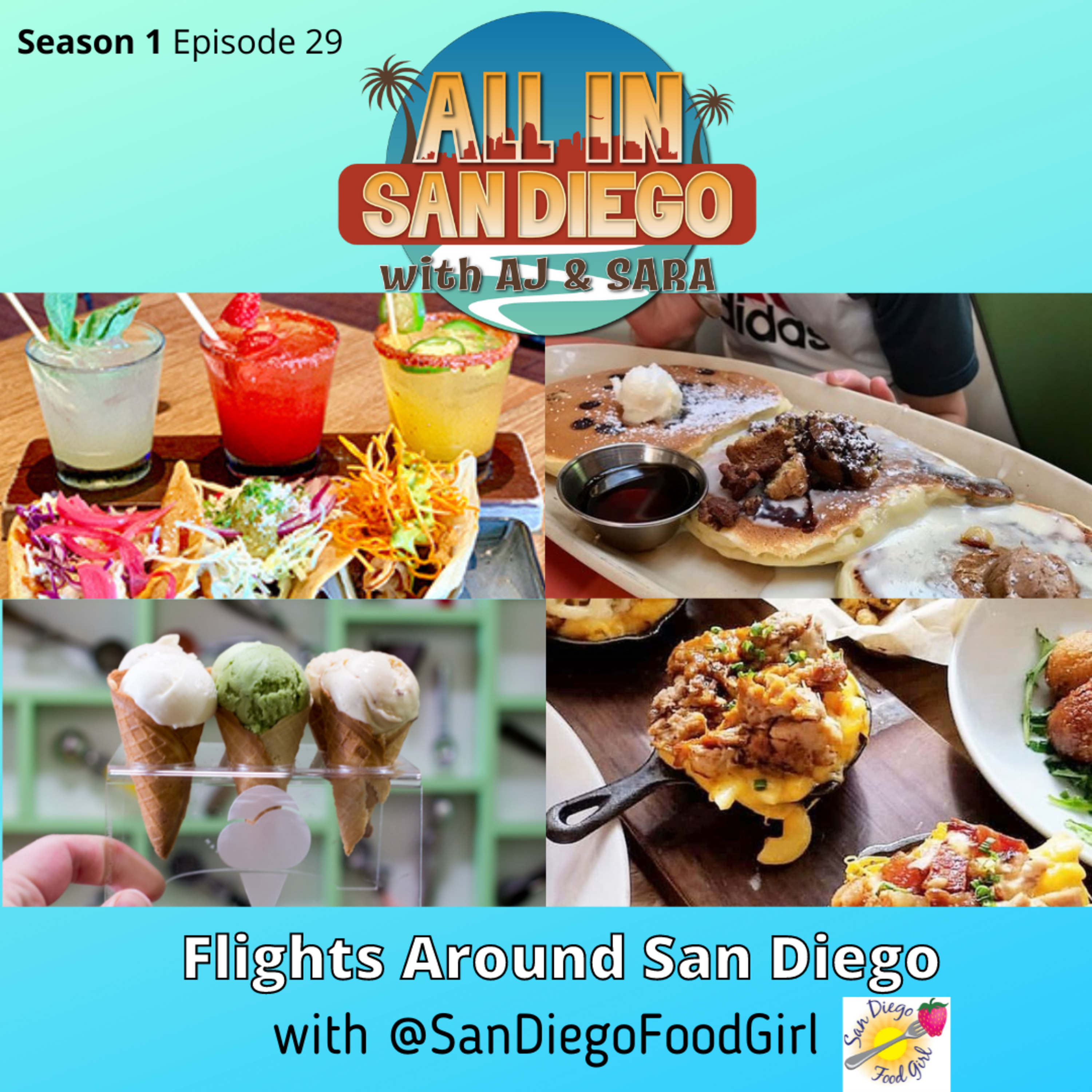 Flights Around San Diego episode artwork
