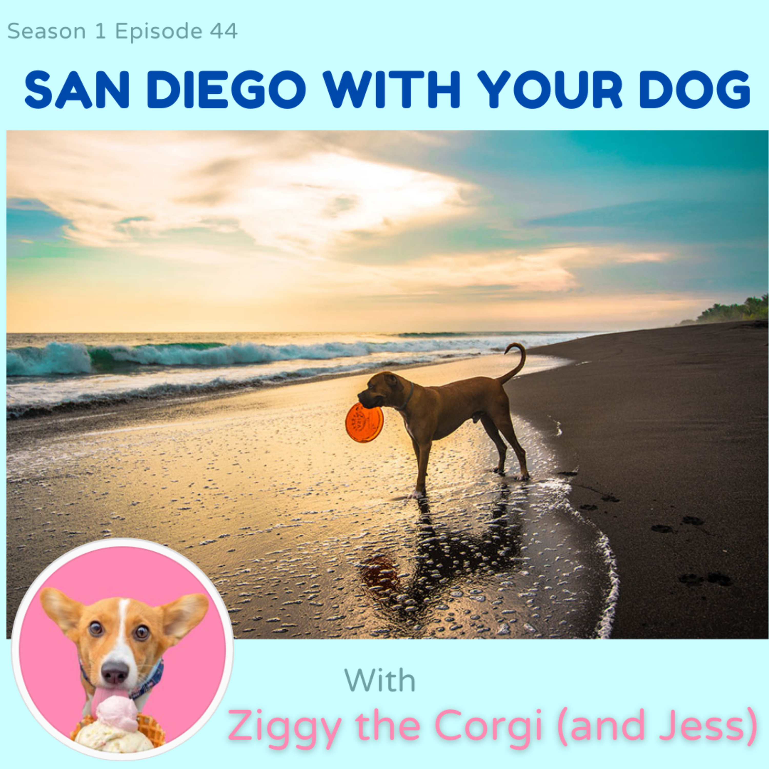 San Diego with Your Dog episode artwork