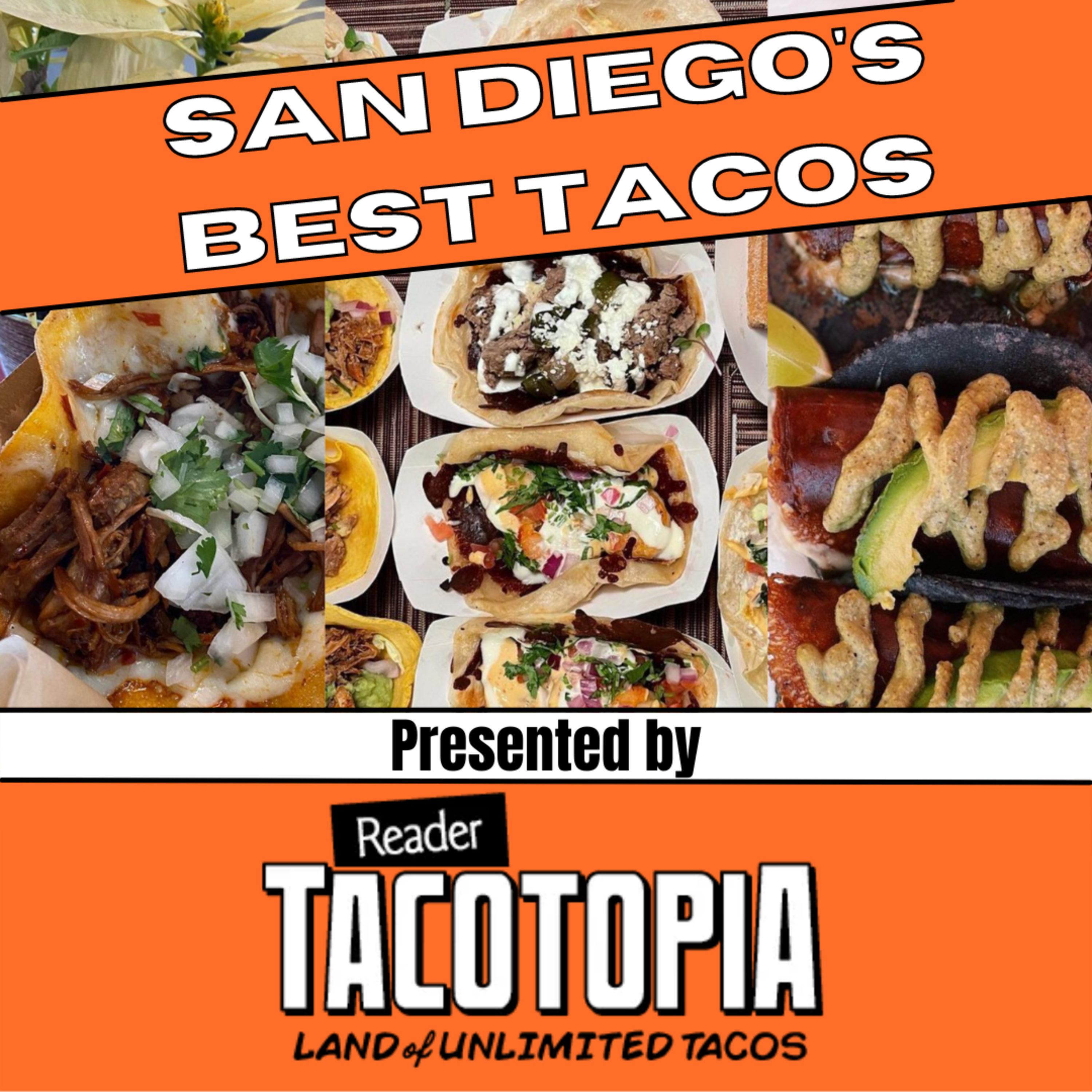 All In San Diego